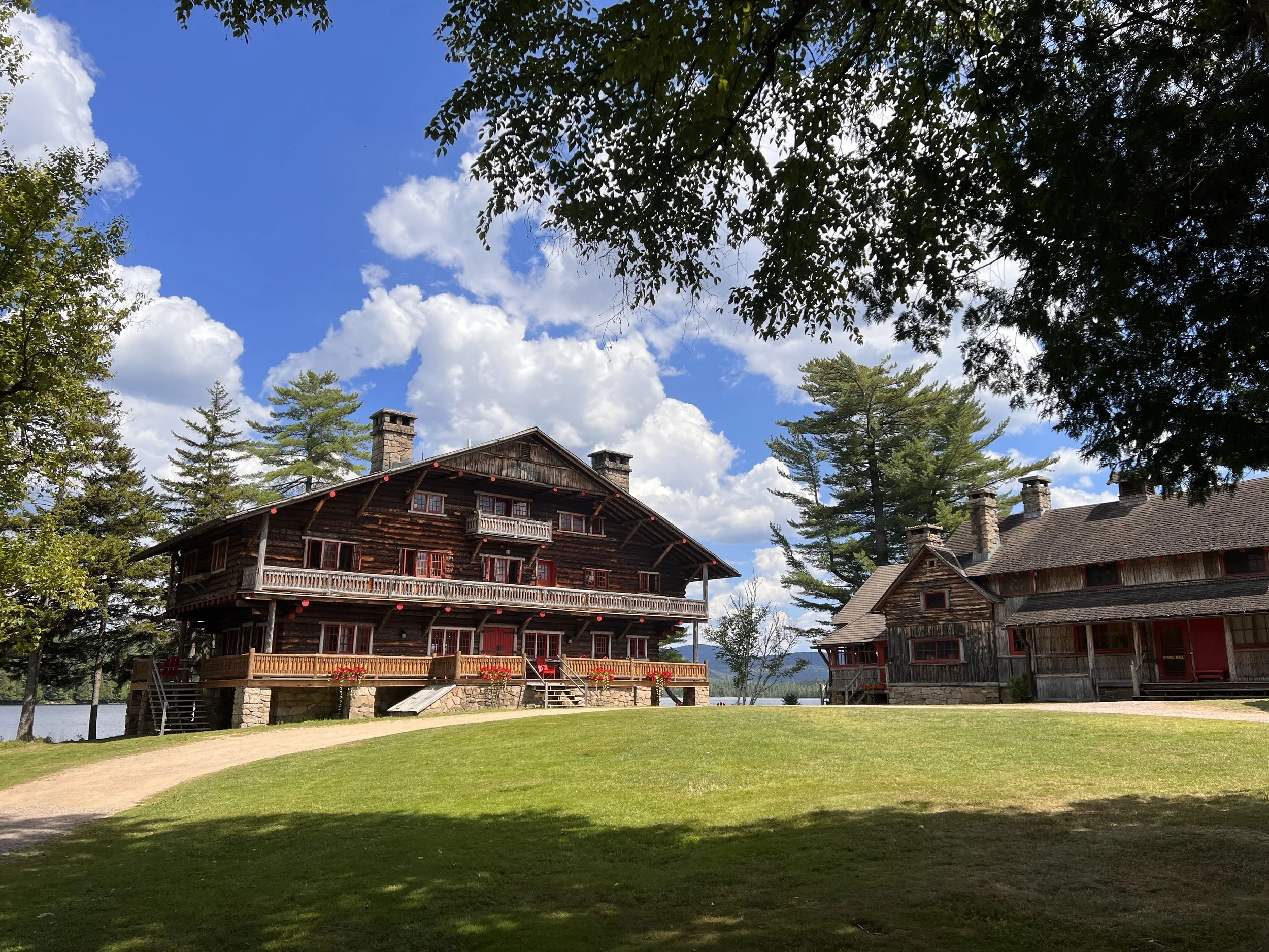 Great Blue Heron - Great teacher of patience.