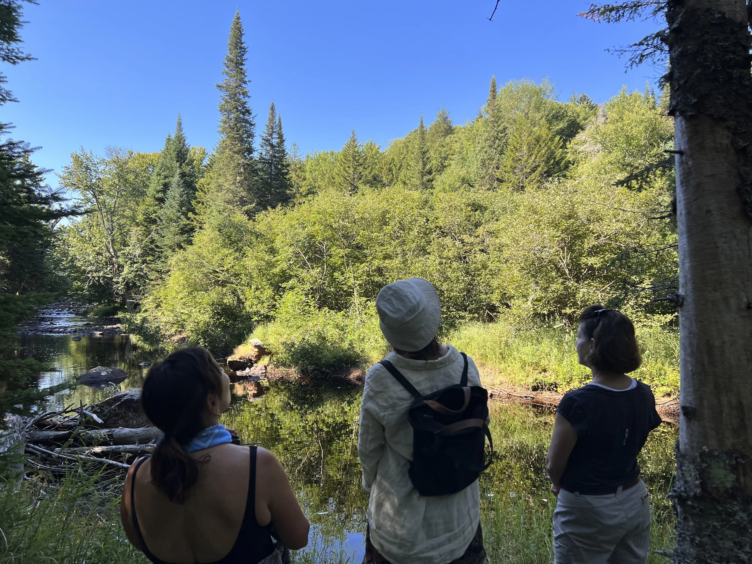Trail to South Inlet - Raquette Lake