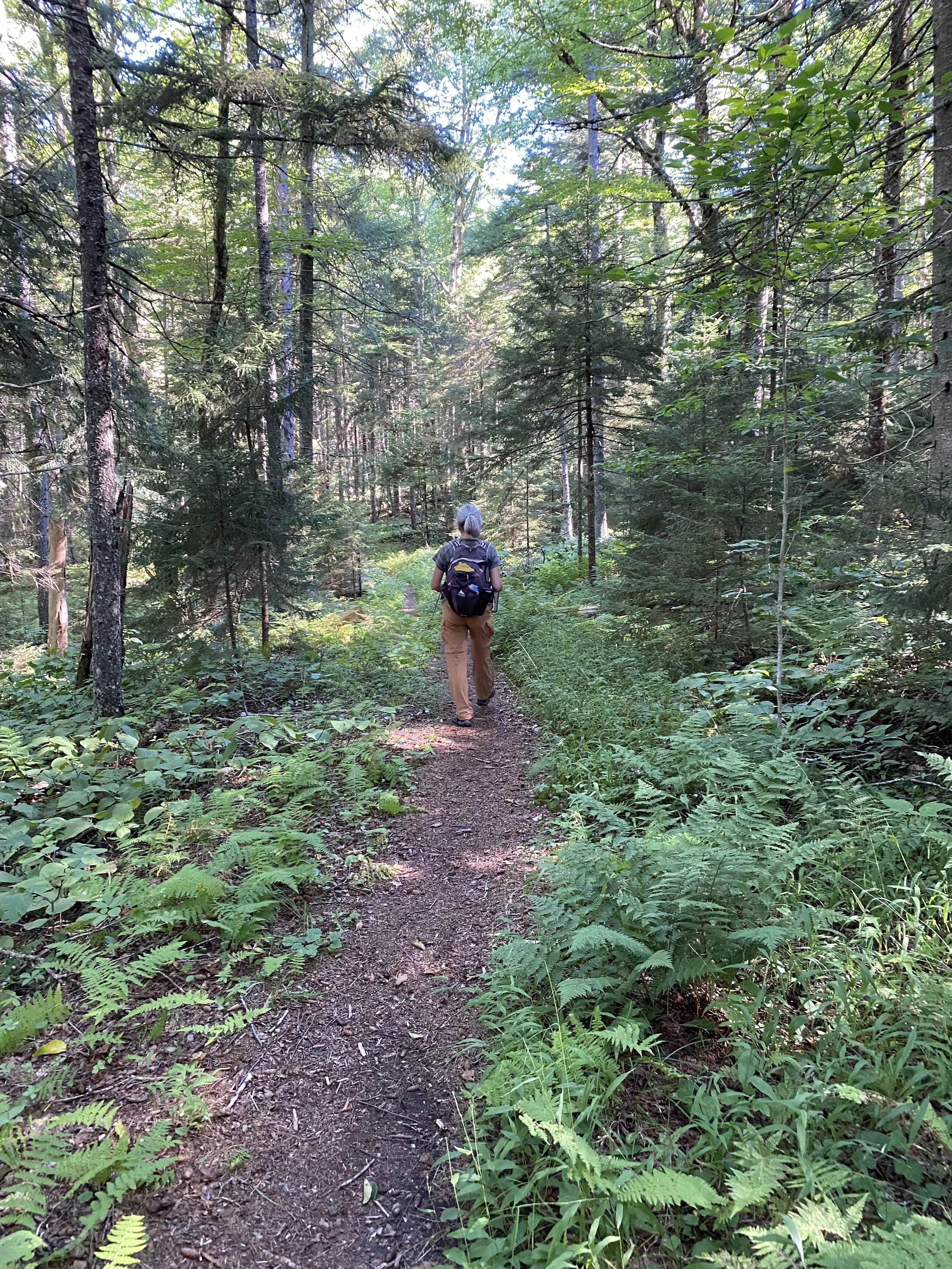 Great Camp Sagamore Trail to the South Inlet