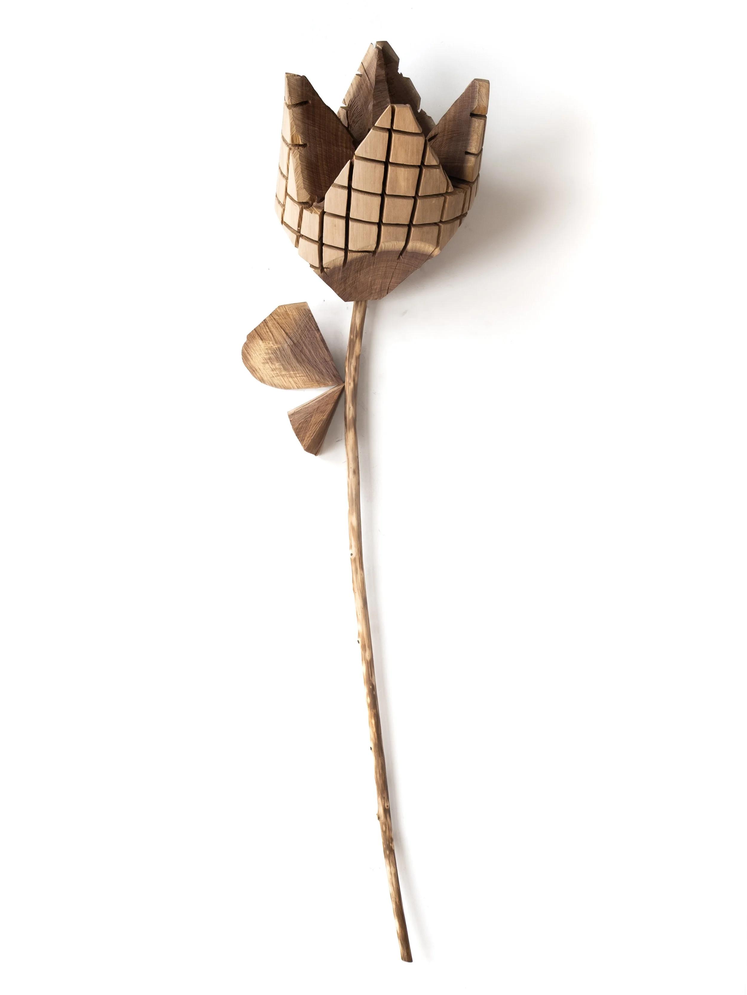 Kings Eat Kings, 2025. Ash, lilac, brass, 78 x 17 x 7”.  