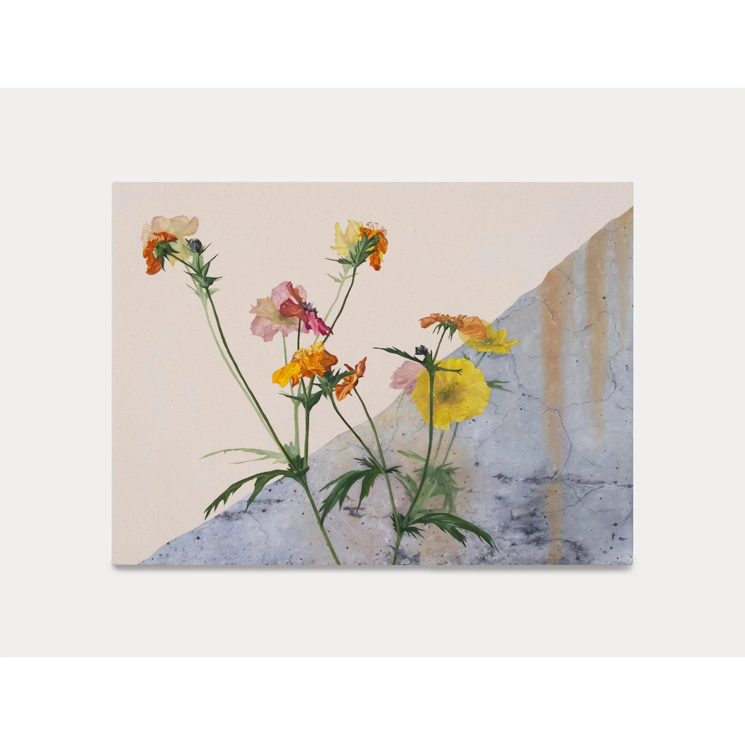ConcreteFlowersWithTime_22x30_wall.jpg
