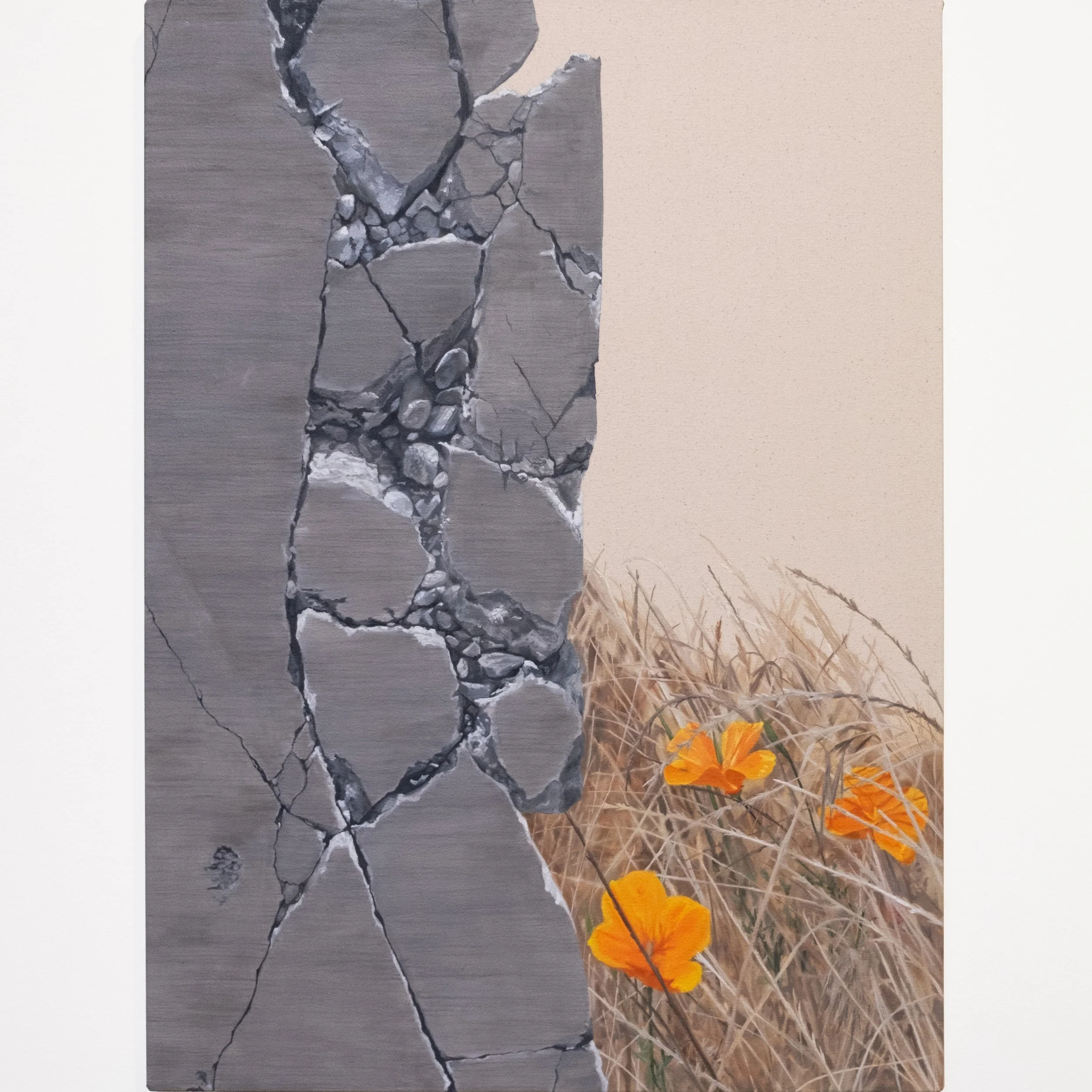 Will Brown, Shattered Concrete / Summer Flora, 30 x 22 in
