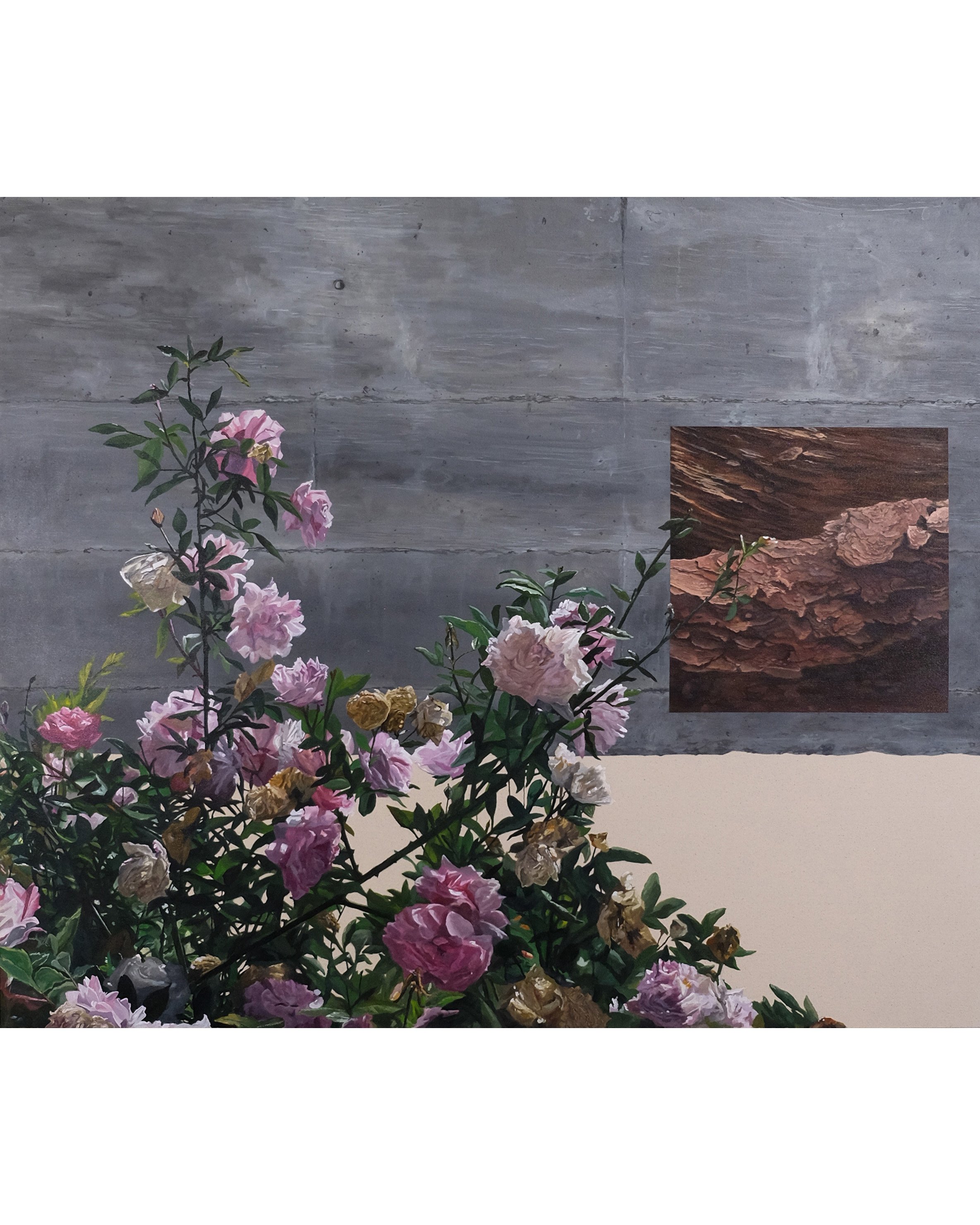 Roses/Concrete/Layered Rock, 48 x 56 in