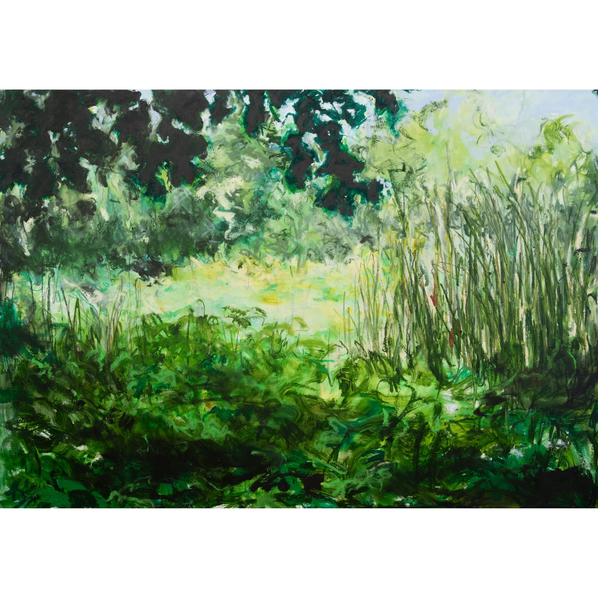 MyaKerner_SoftenedByWhitePineNeedles_42x60inches_2026 copy.jpg