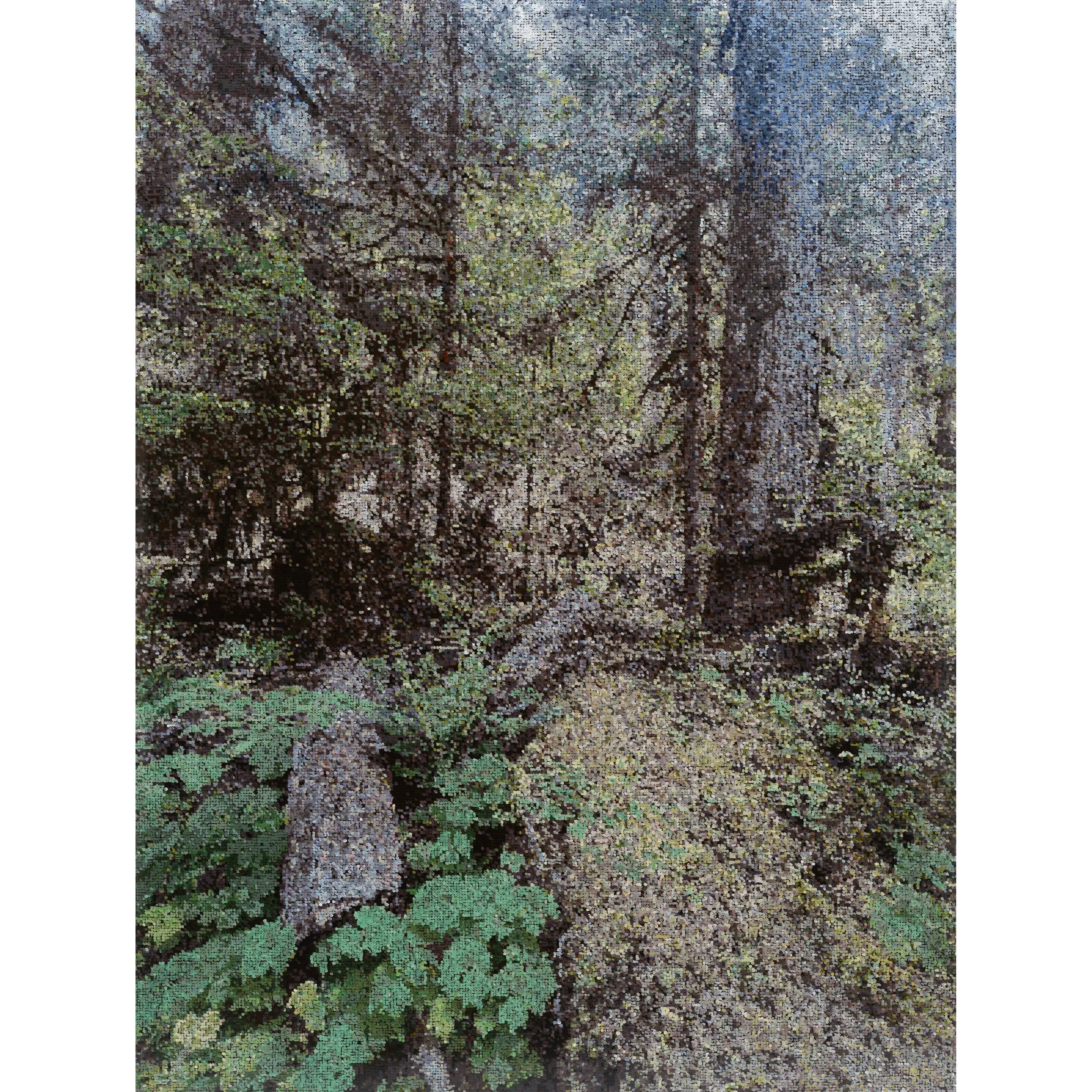 Pacific Northwest Trail with Nurse Log (Near Seattle), 50 x 38 in