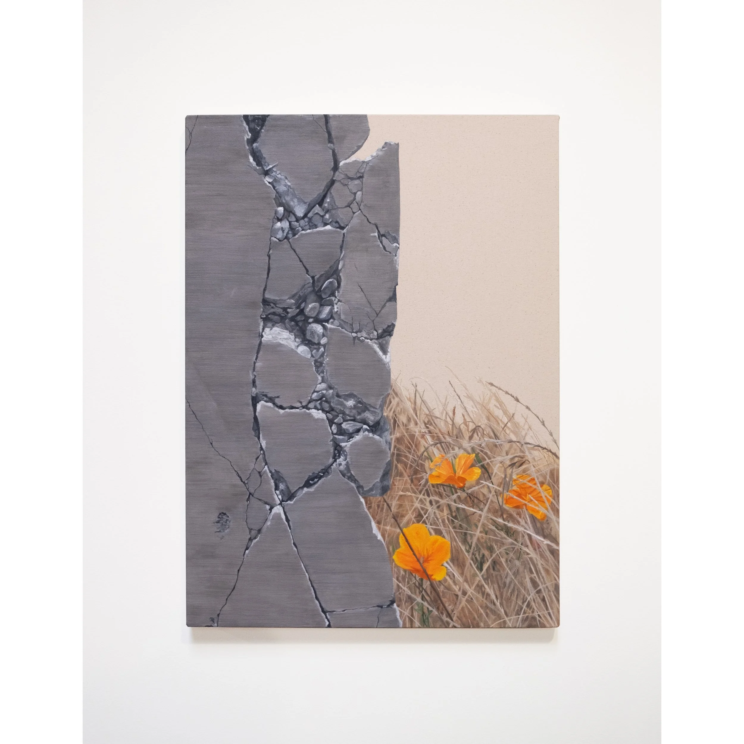 ShatteredConcreteSummerFlora.jpeg