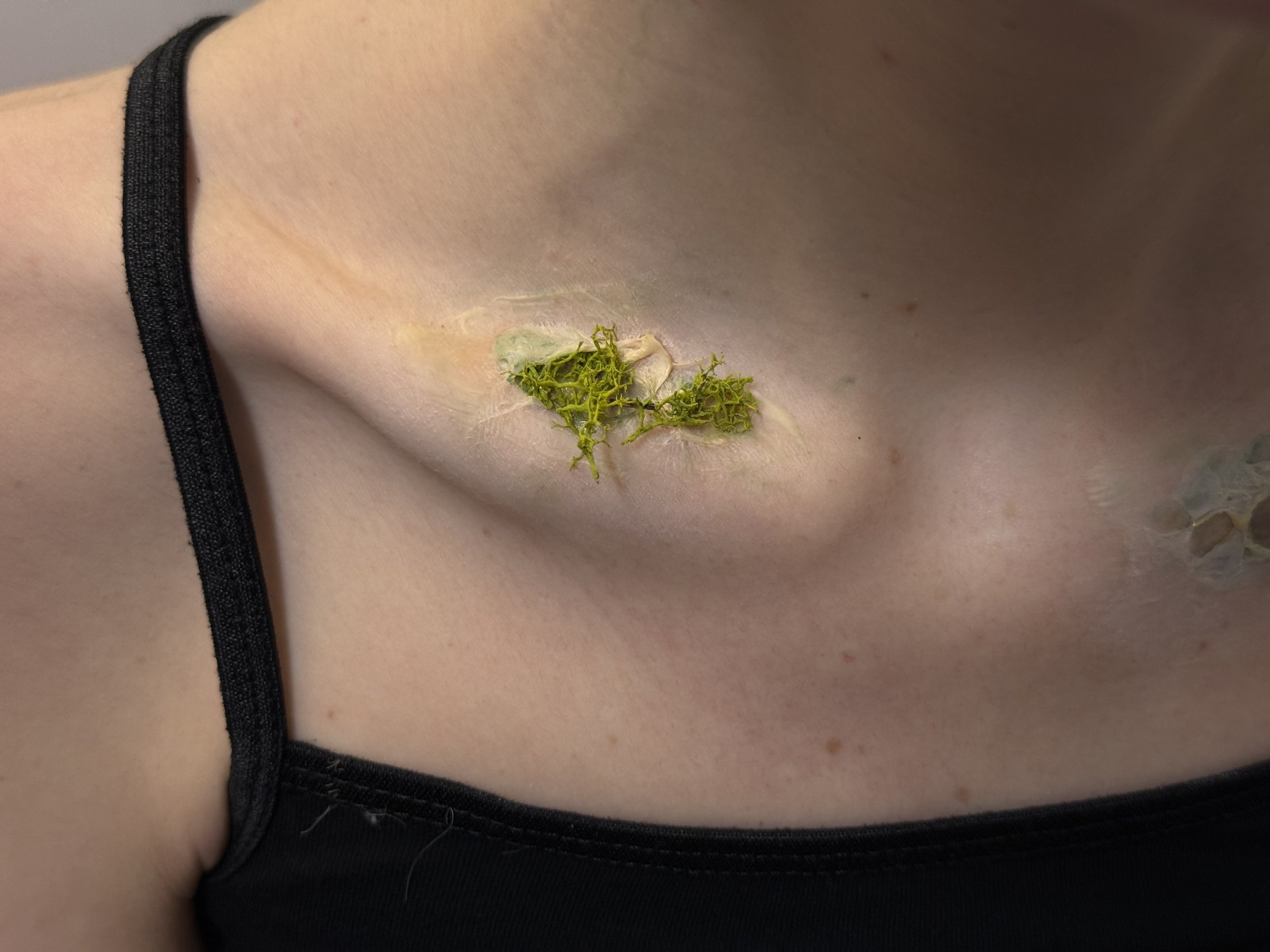 Makeup for "Chrysalis" by Hana Glanz