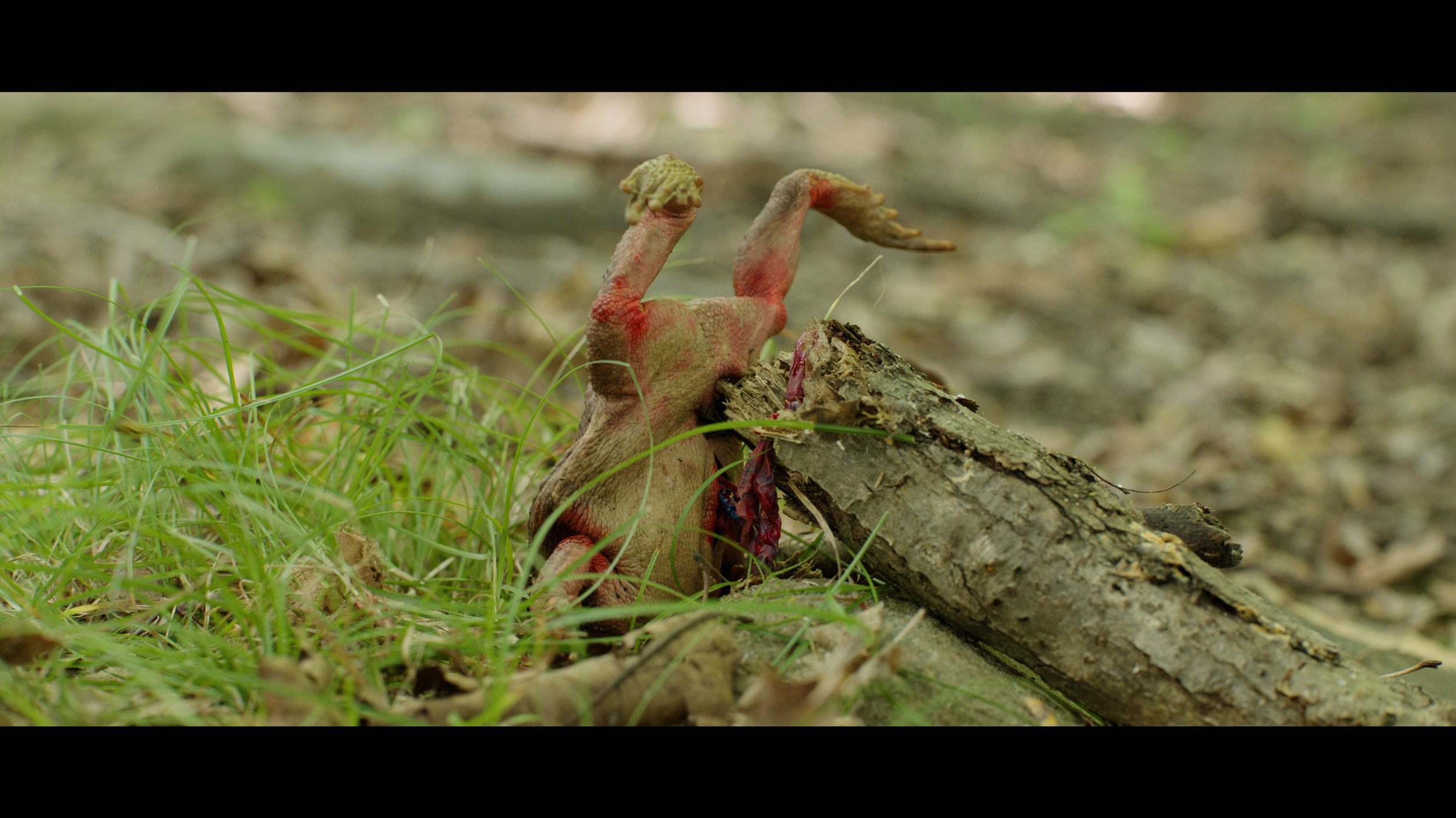 SFX/Prop for "Envi" by Julian Aaronson