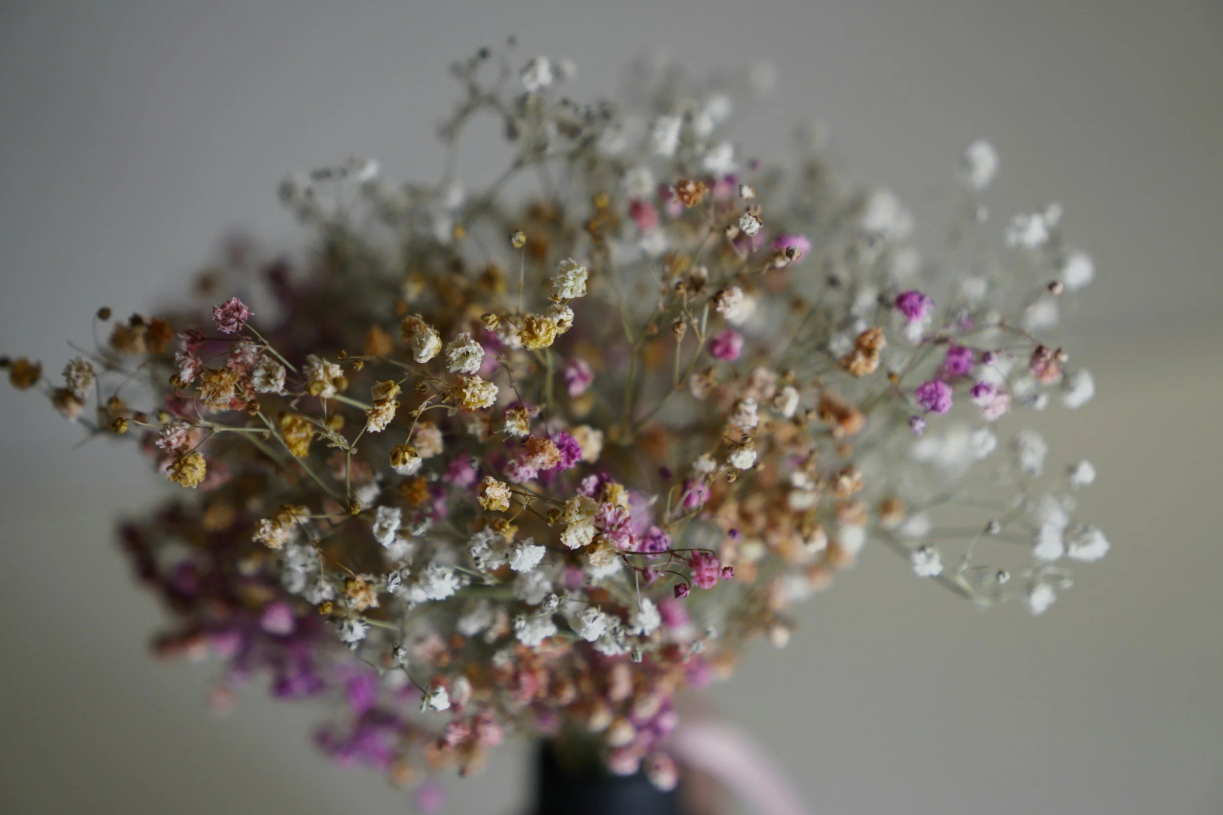 A bouquet of small colorful dried flowers in a vase.