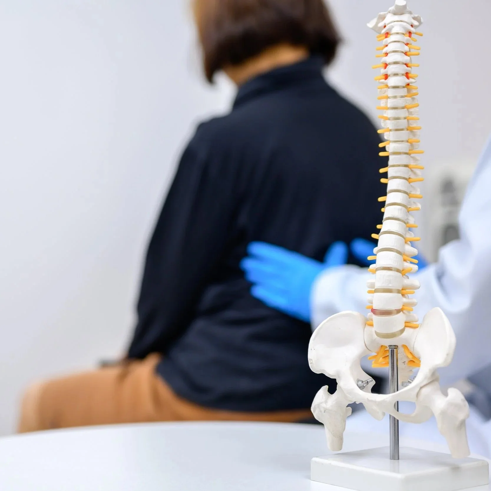 Chiropractive Therapy