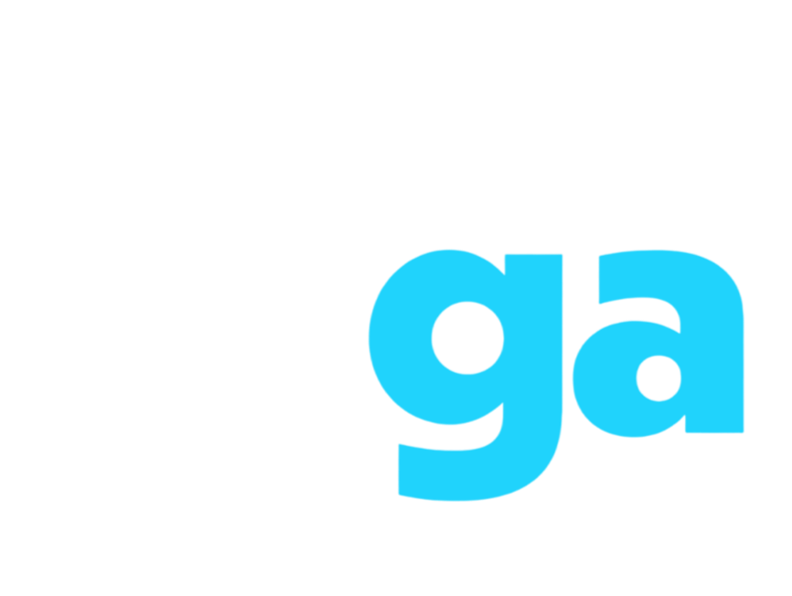  Iuga Electronics