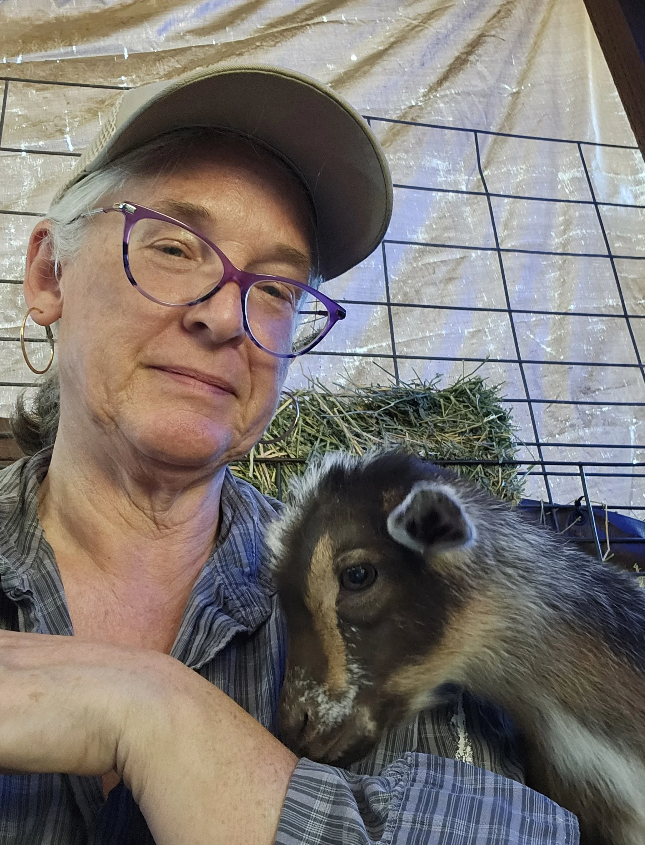 Author Dawn Dolan, wearing glasses and a baseball cap holding a baby goat in an enclosure with metal fencing and hay in the background.