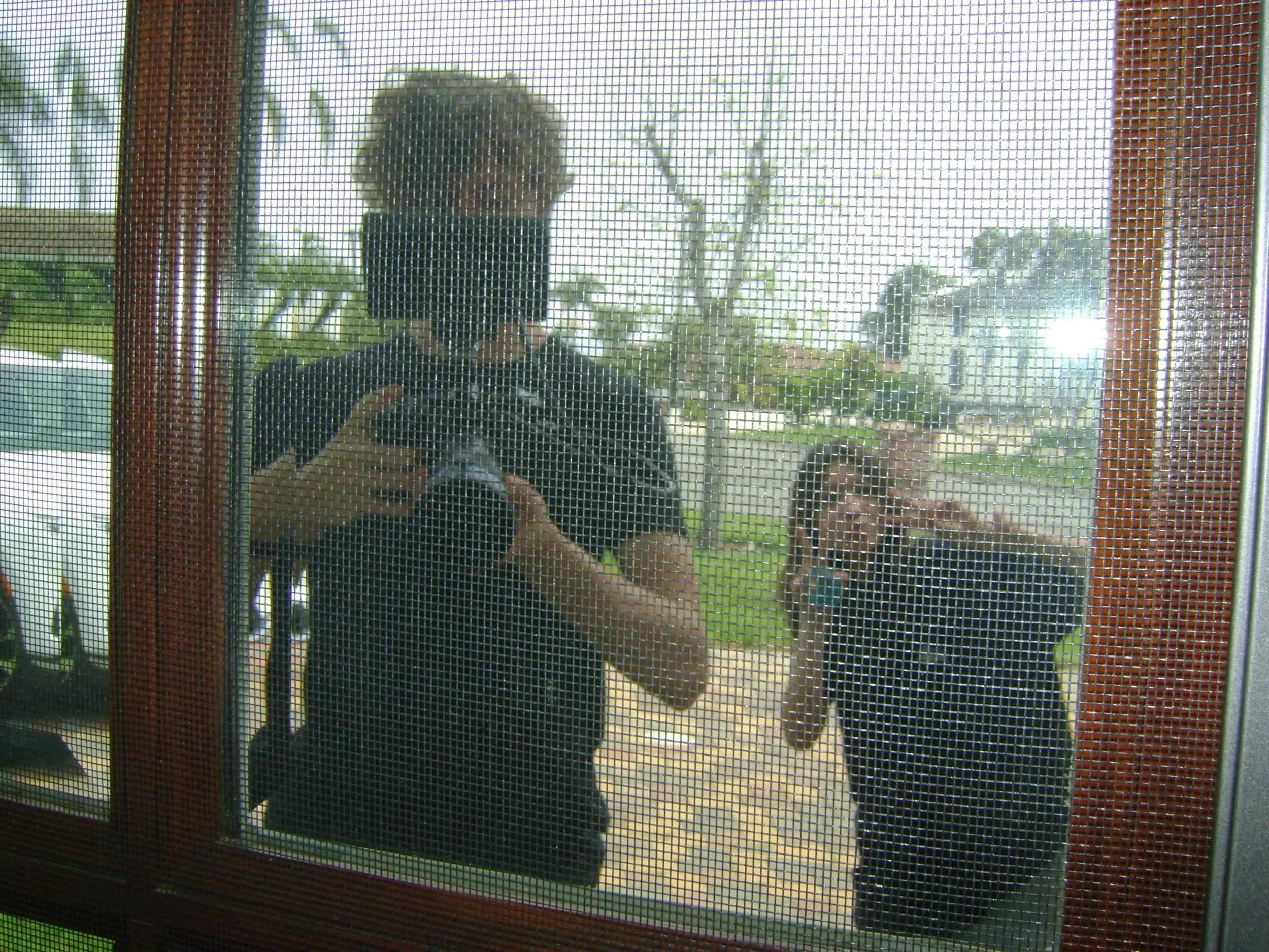 People gathered indoors behind a wire mesh screen, with a brick wall and windows in the background.