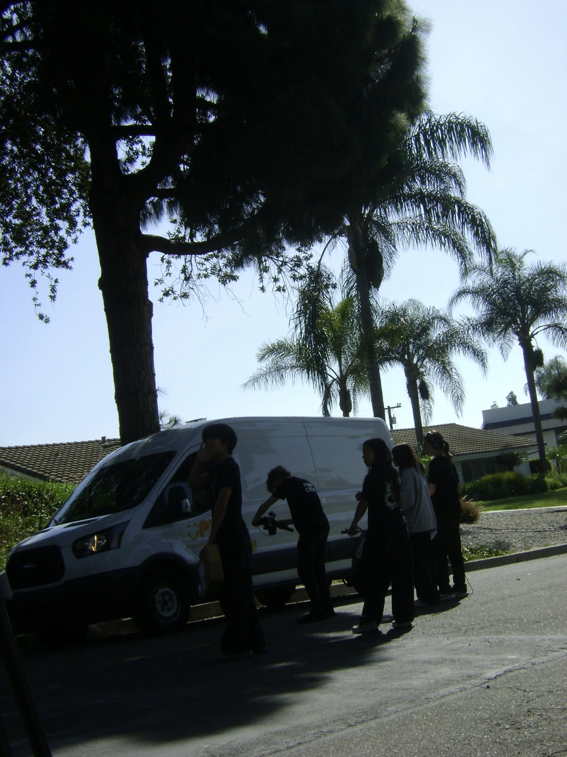 People stand beside a white van on a sunny residential street lined with tall palm trees.