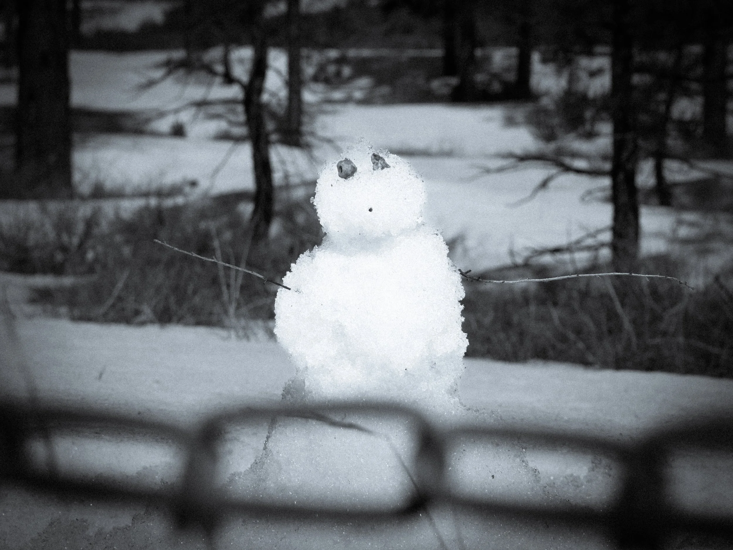 Small snowman with pebble eyes and twig arms standing in a snowy forest