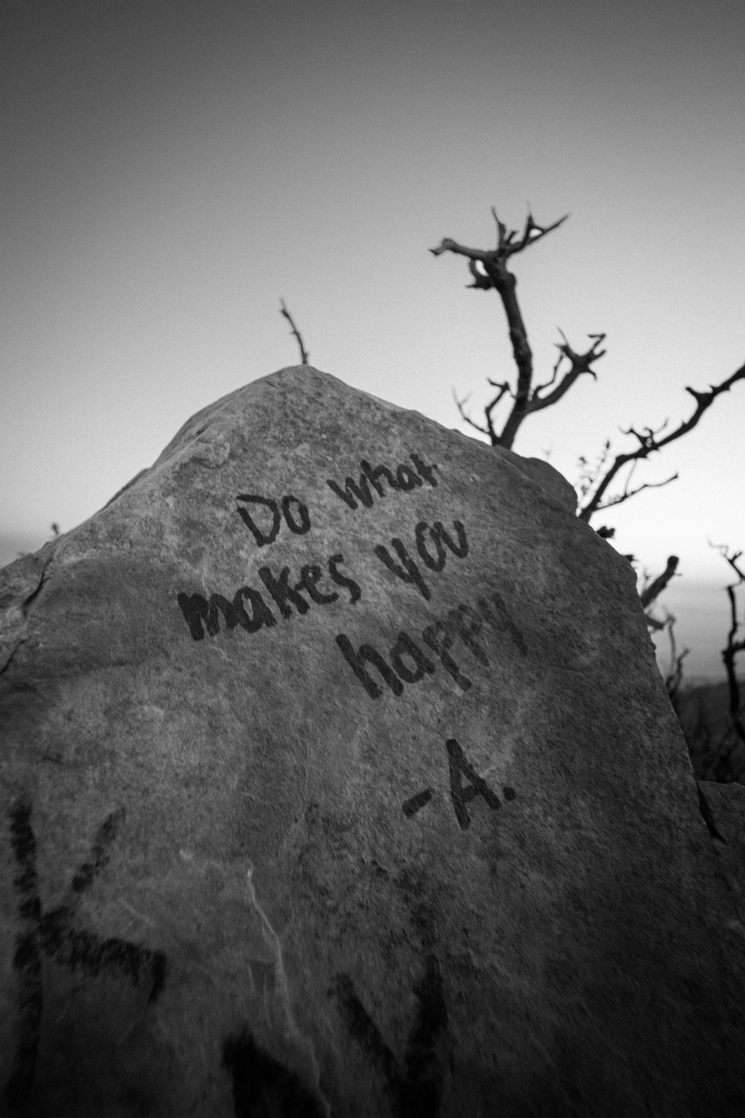 Black-and-white photo of a large rock engraved with names, beneath a leafless tree.