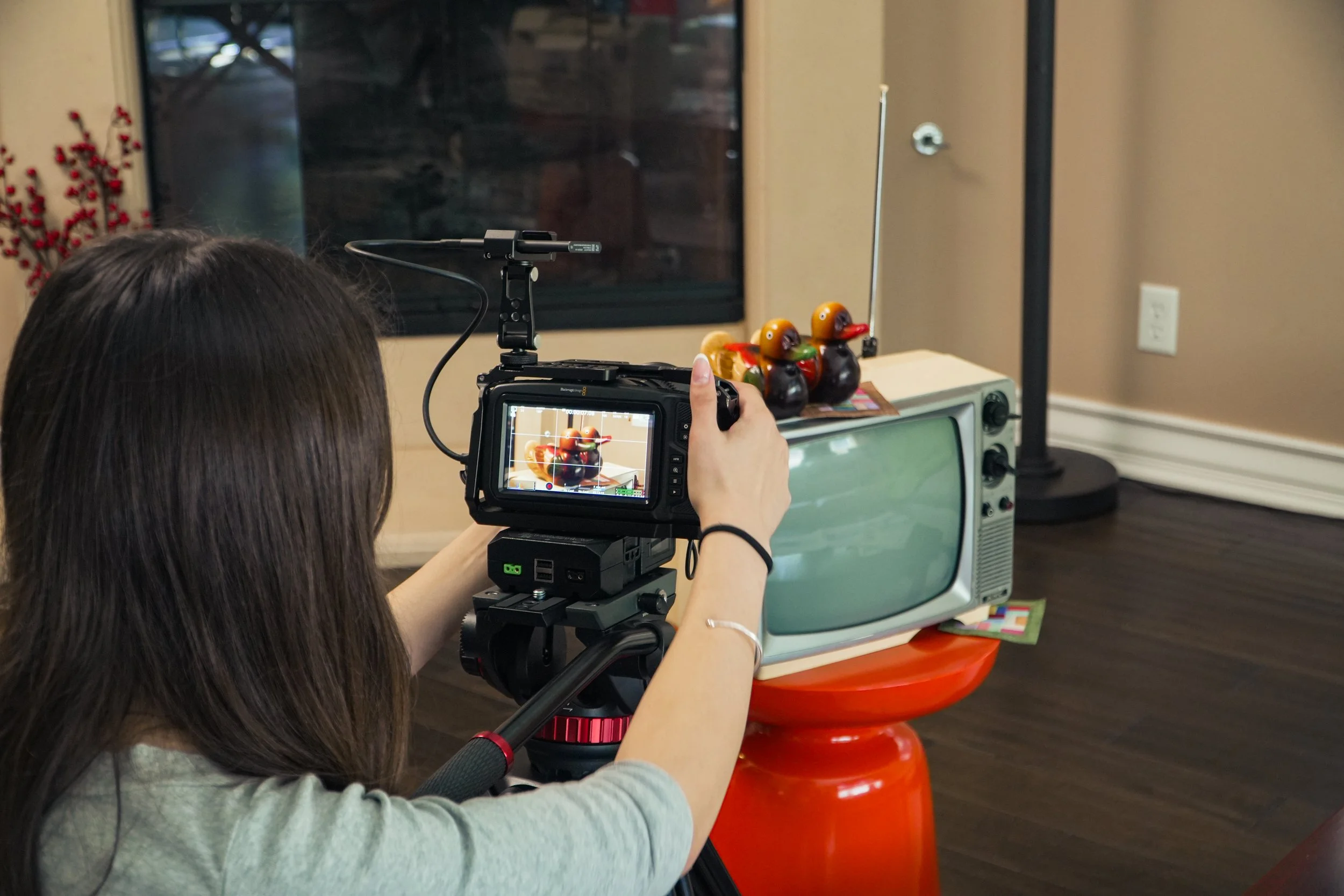 Person filming colorful duck figurines beside a vintage television with a professional video camera