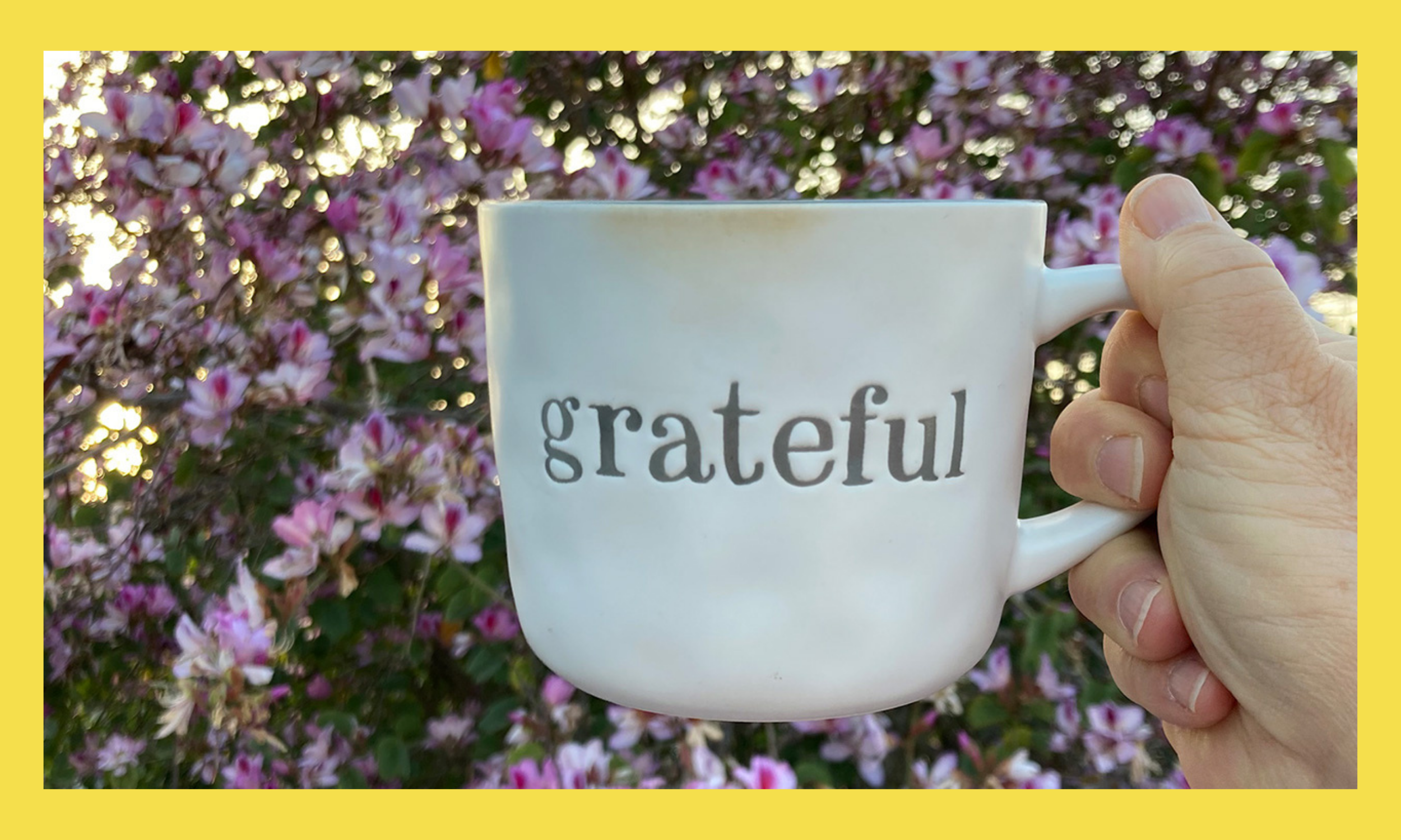 Grateful For All Of it!