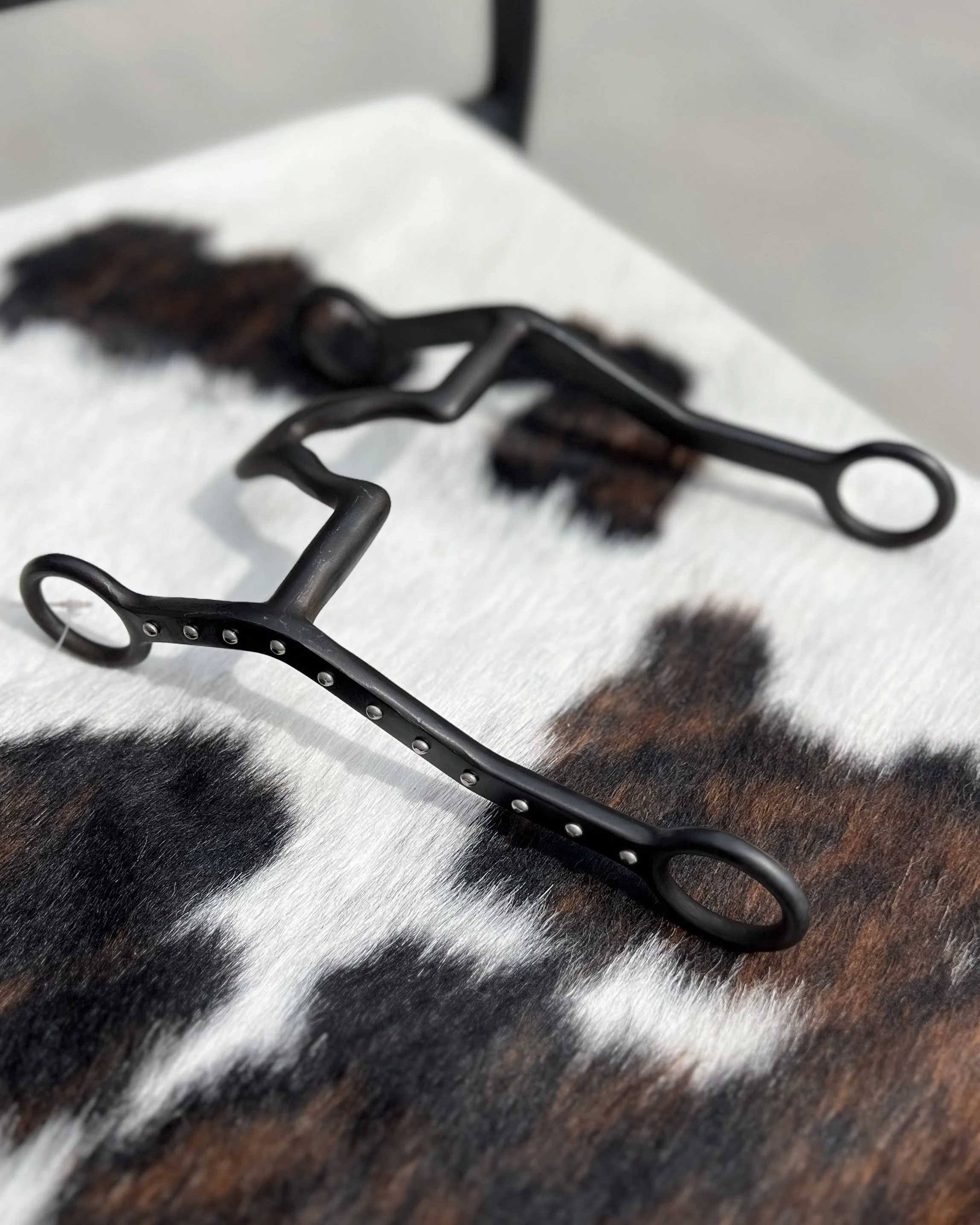 Equine / Livestock PEMF Session