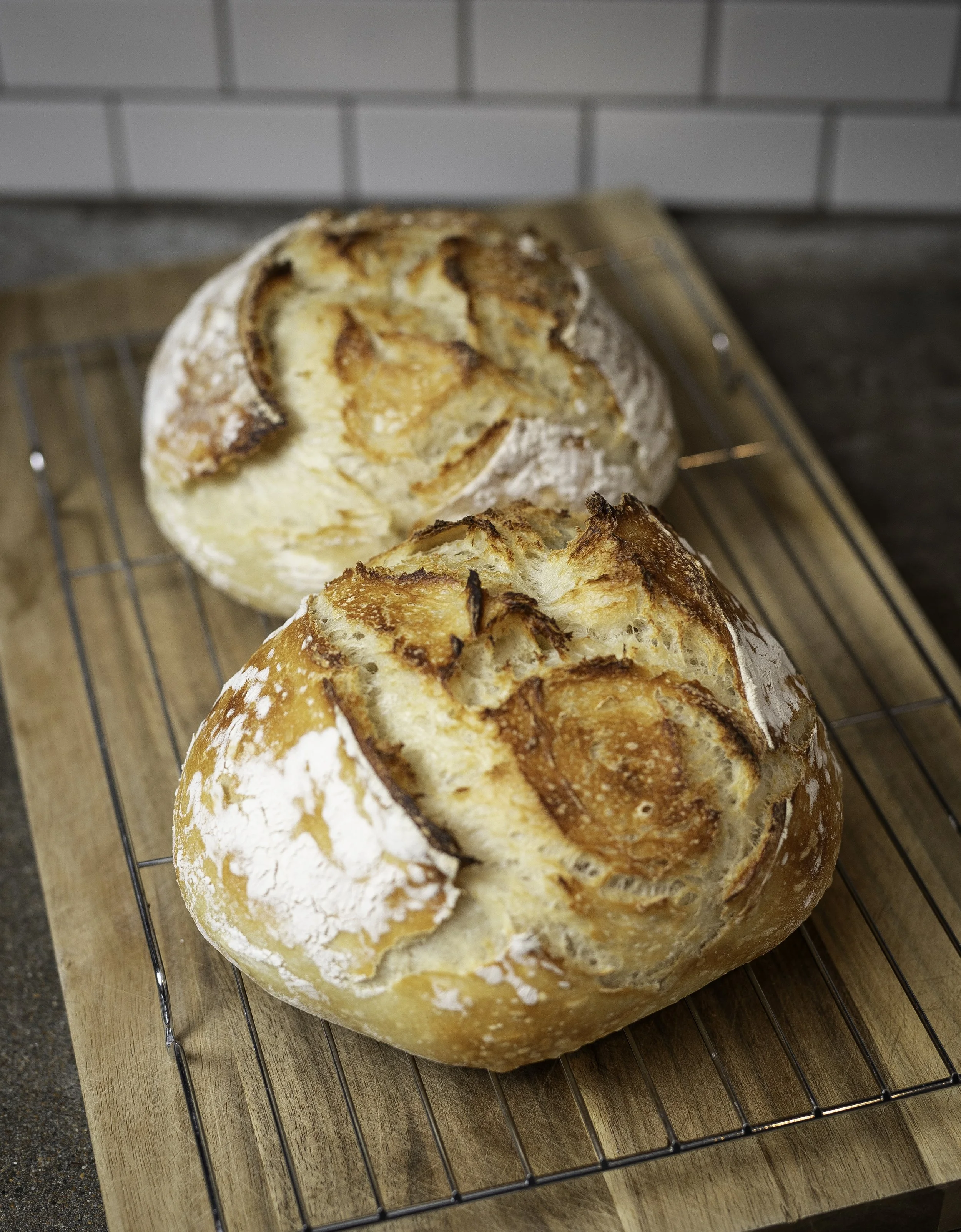 Sourdough Boule