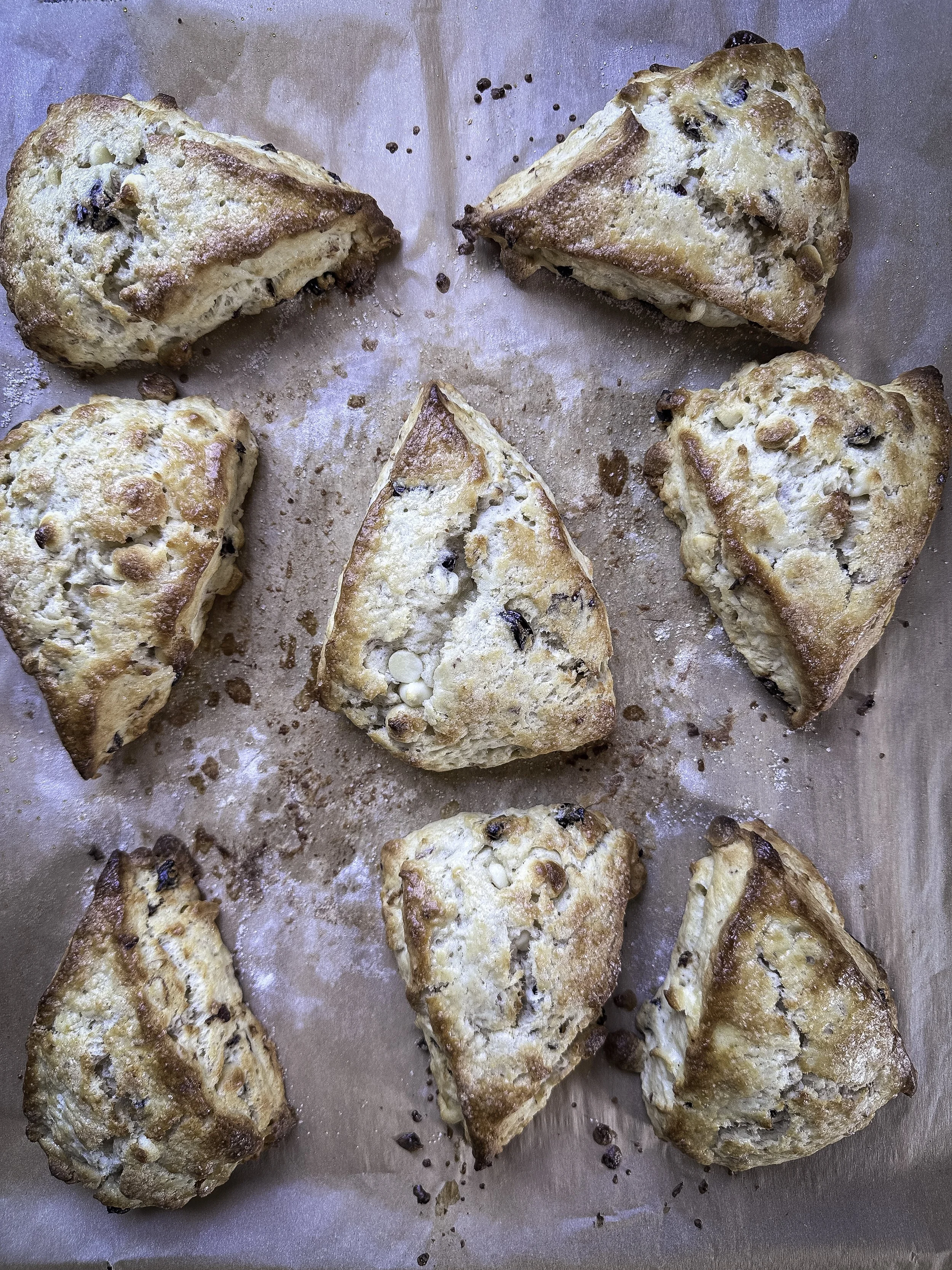 Fresh baked sourdough scones Lexington MI