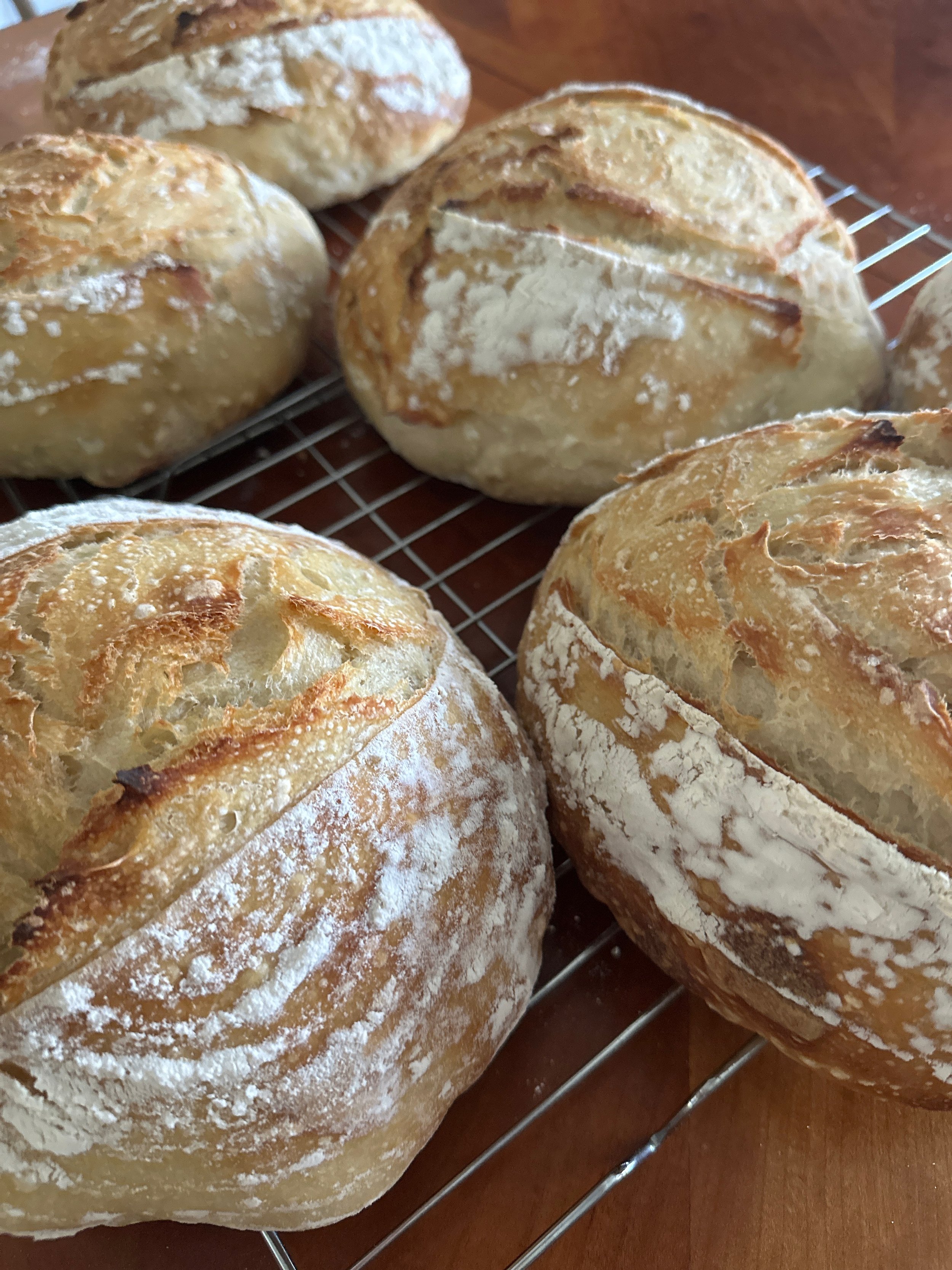 Fresh sourdough bread Lexington Michigan