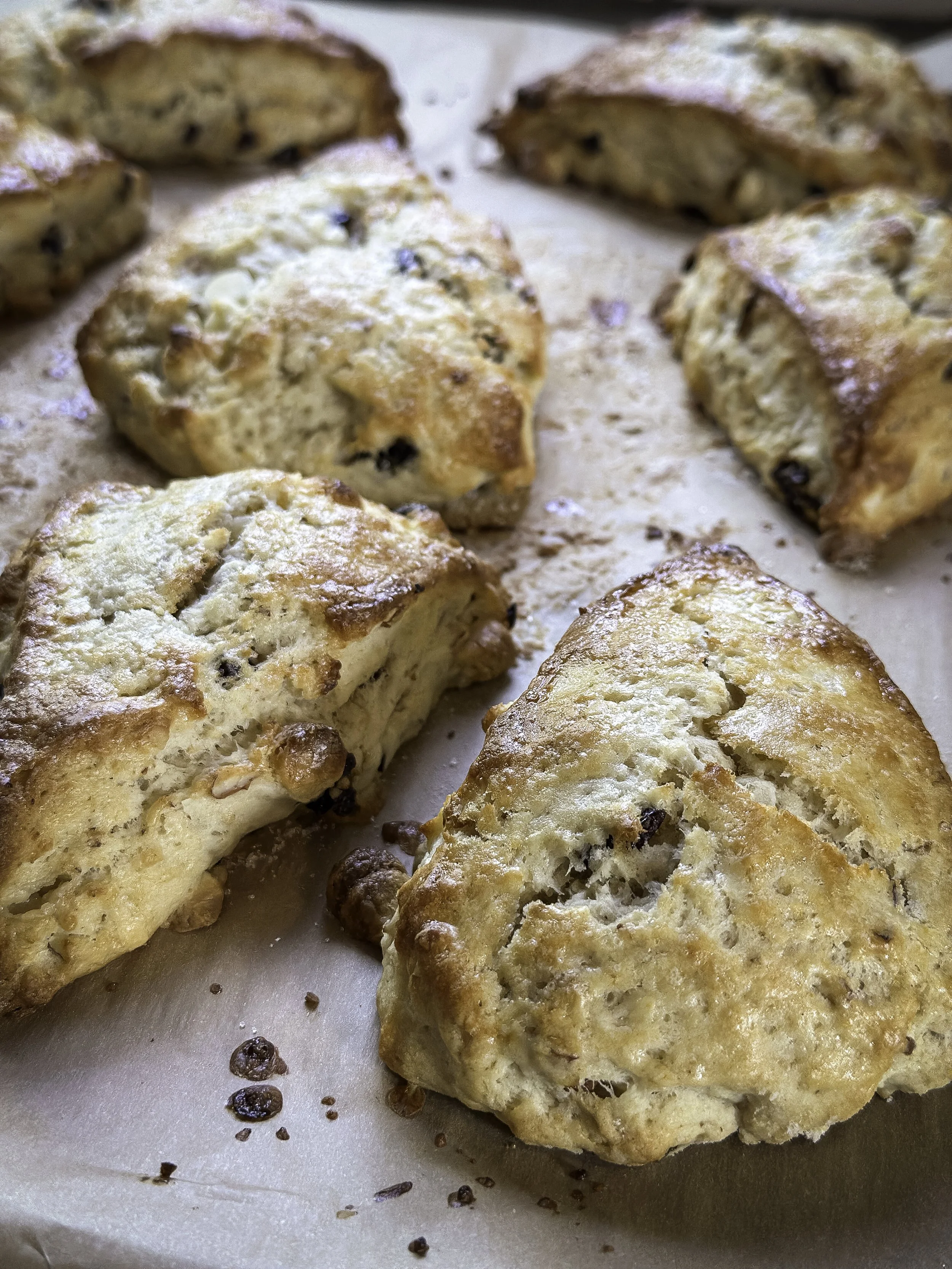 Sourdough Scones