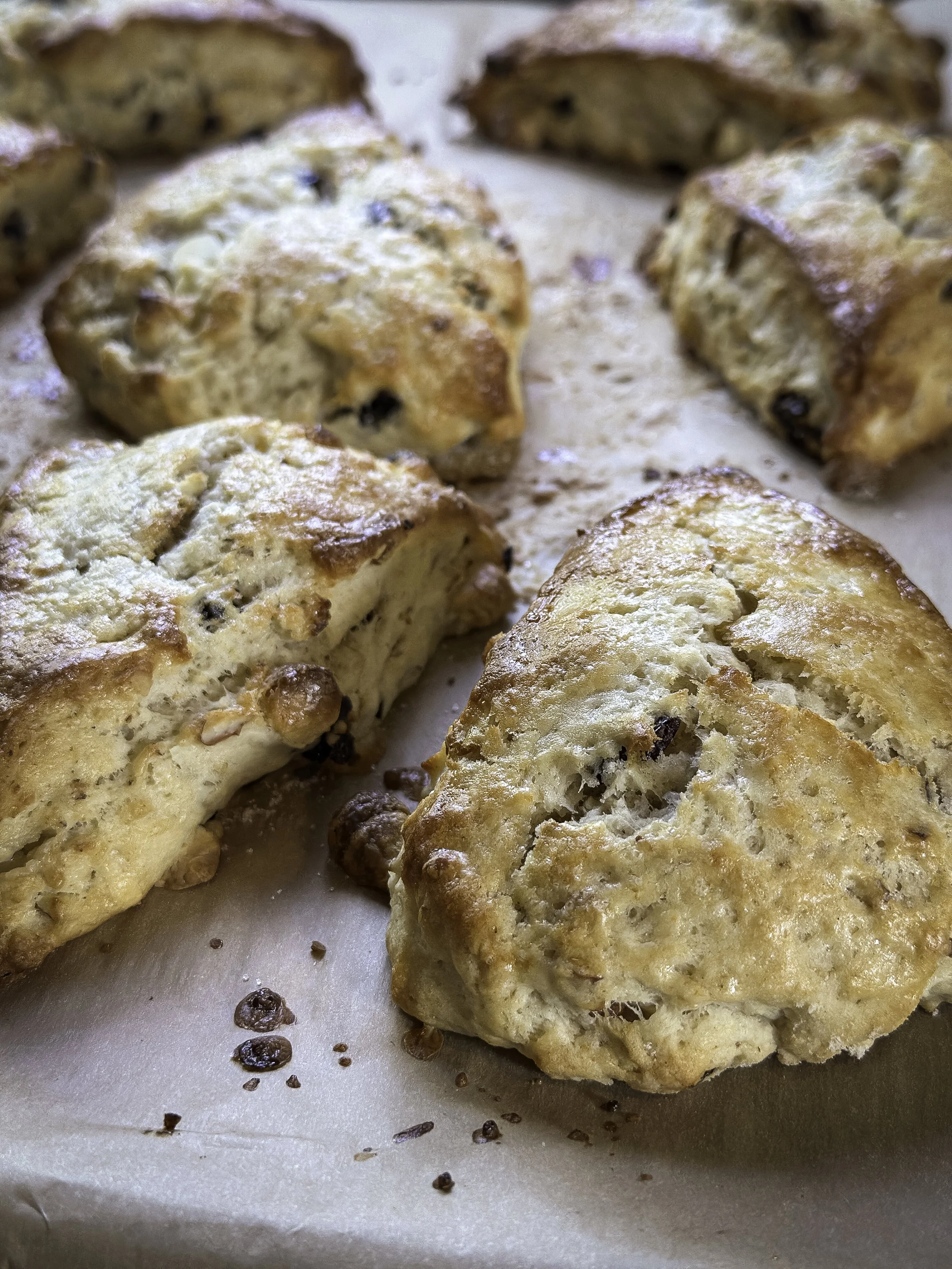 Homemade sourdough scones Lexington MI