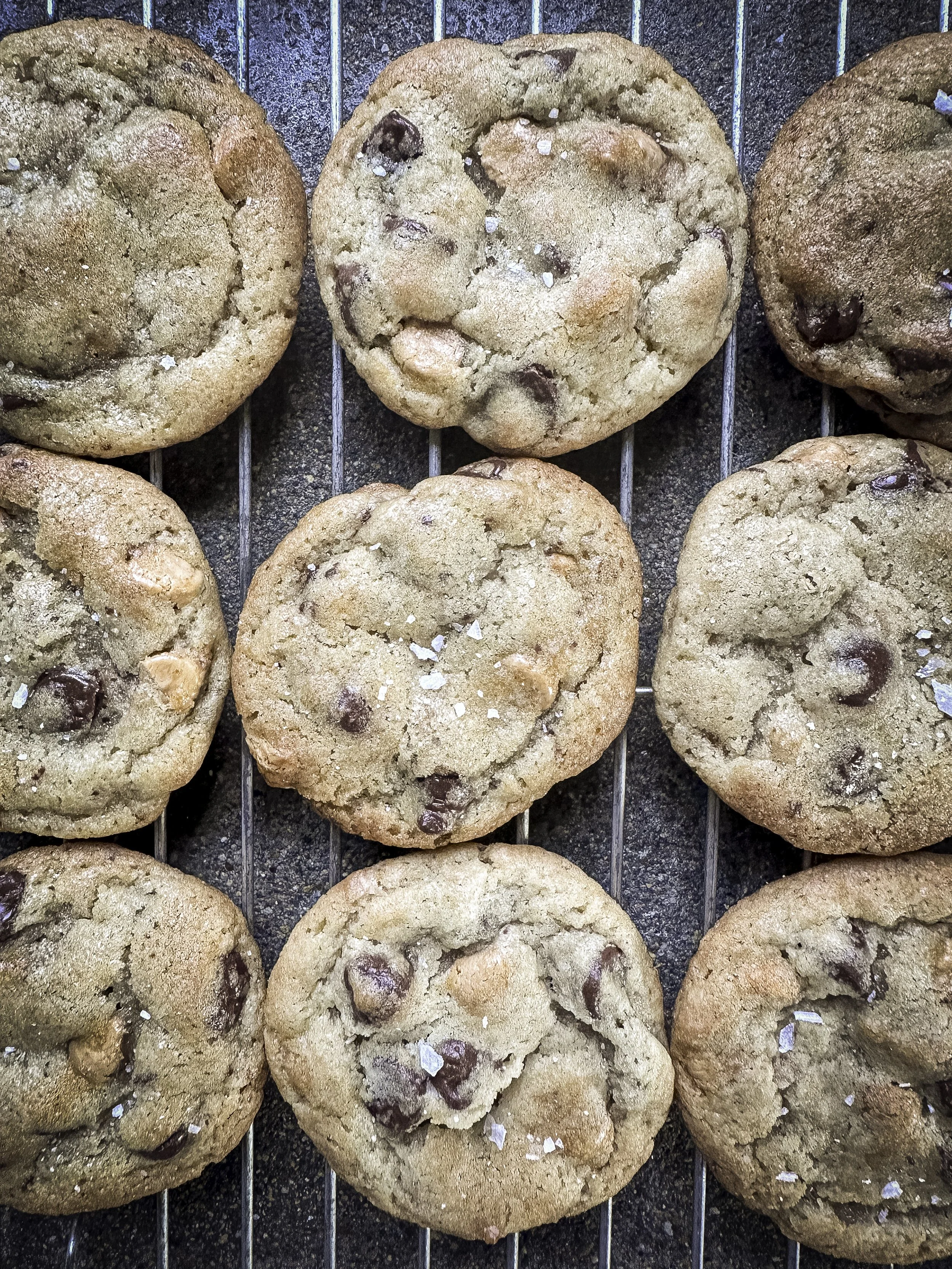 Sourdough cookies in Lexington Michigan