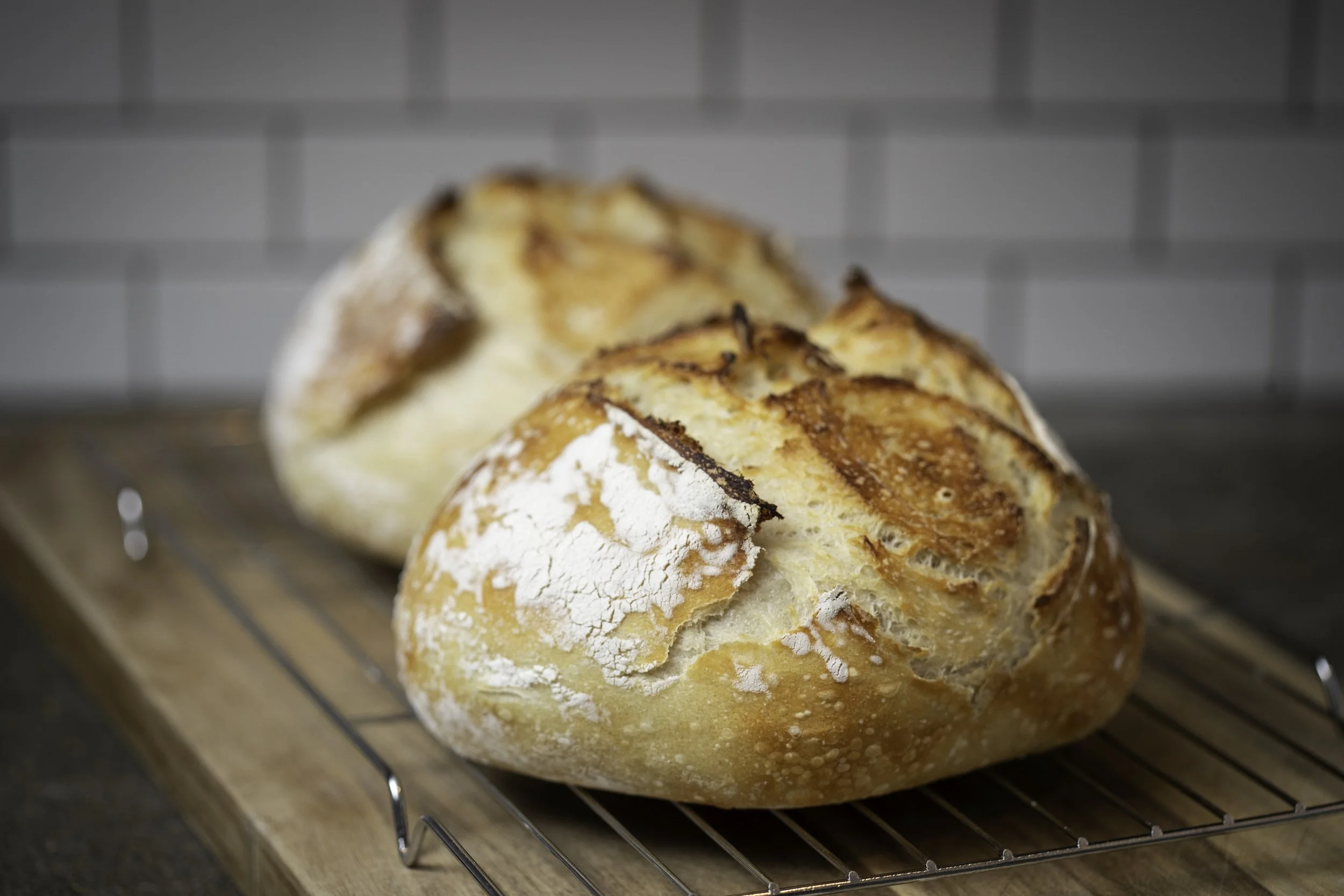 Sourdough bread Lexington MI