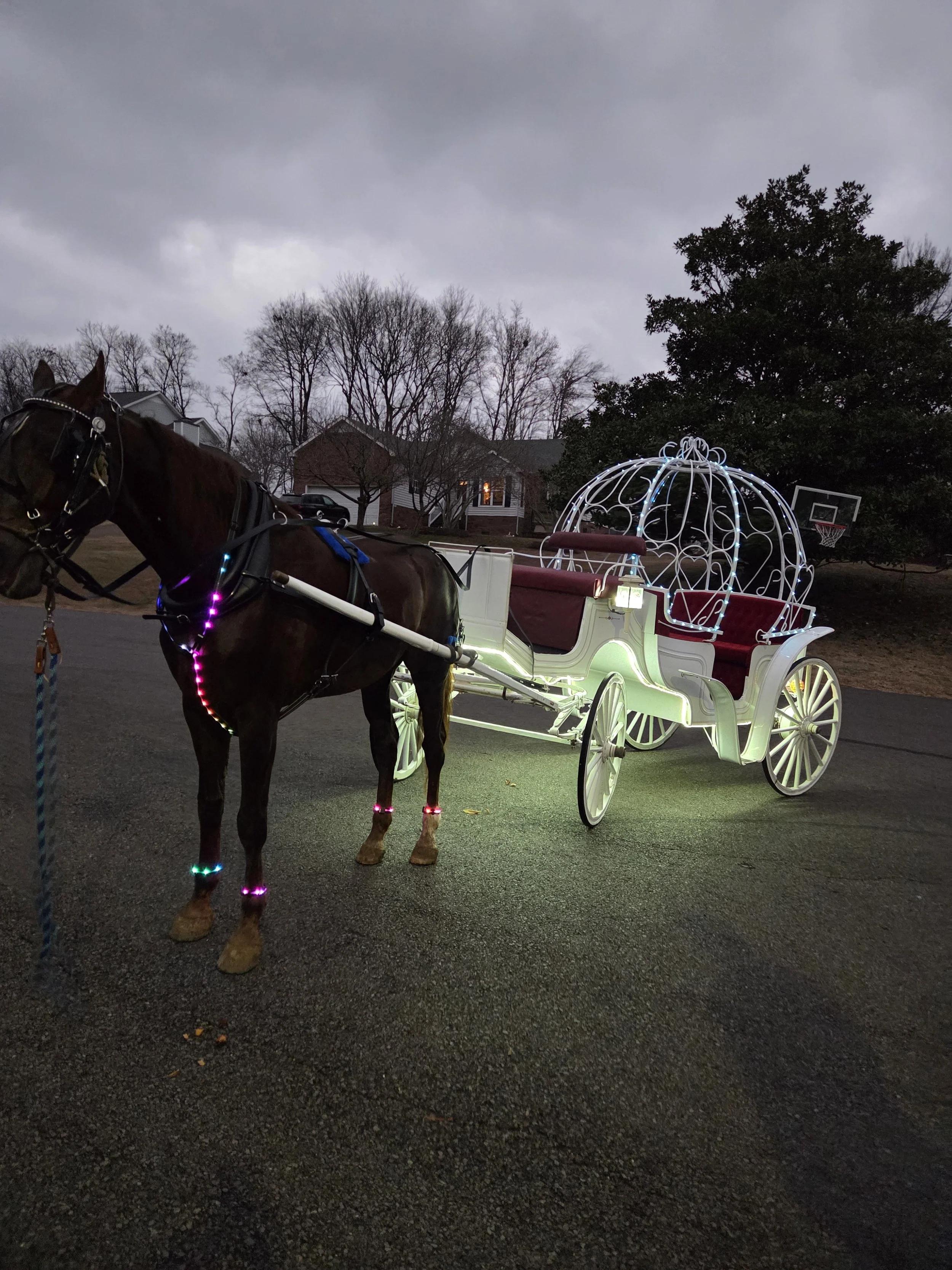 1 Hour Private Event