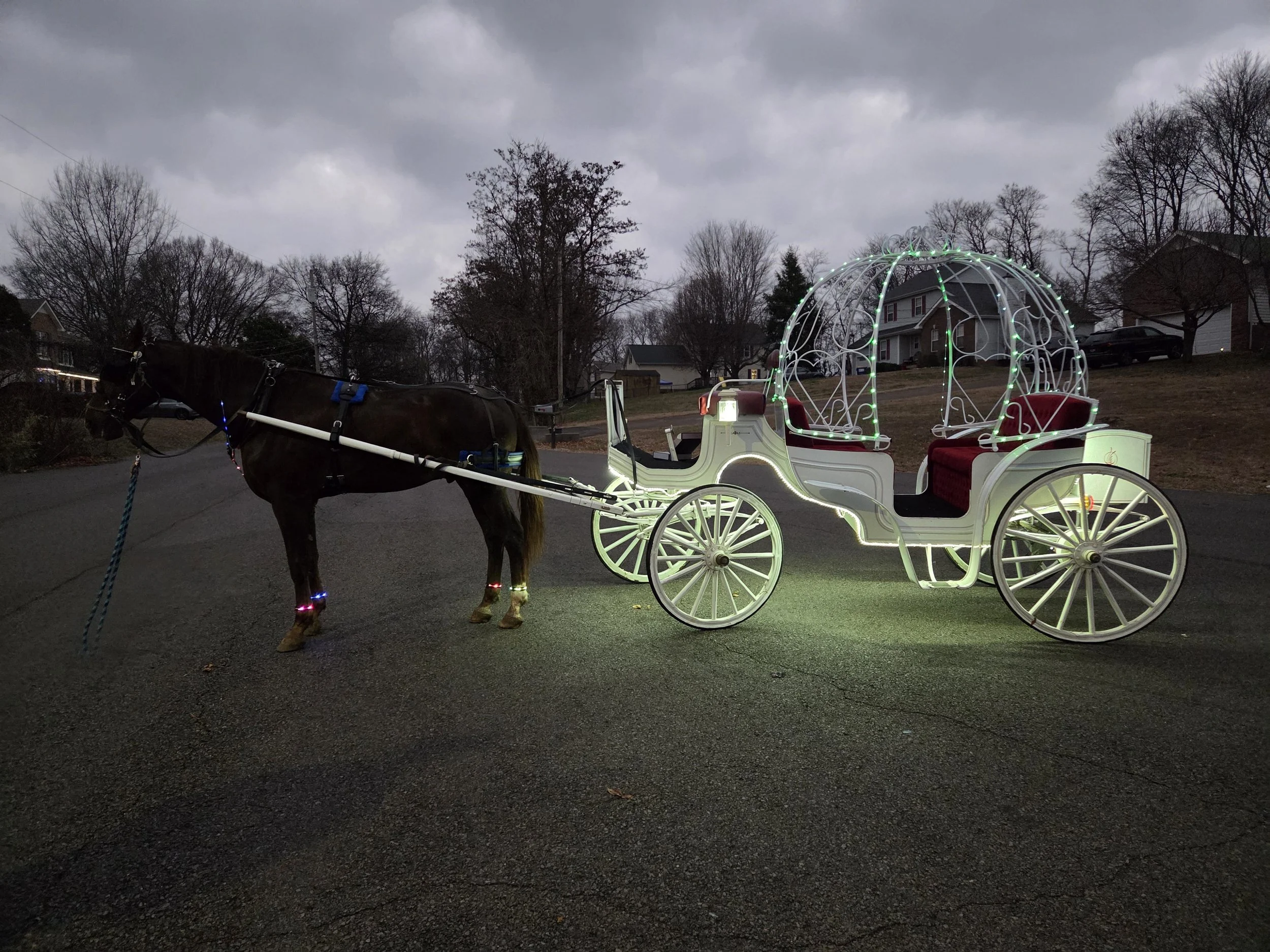 2.5 Hour Private Event