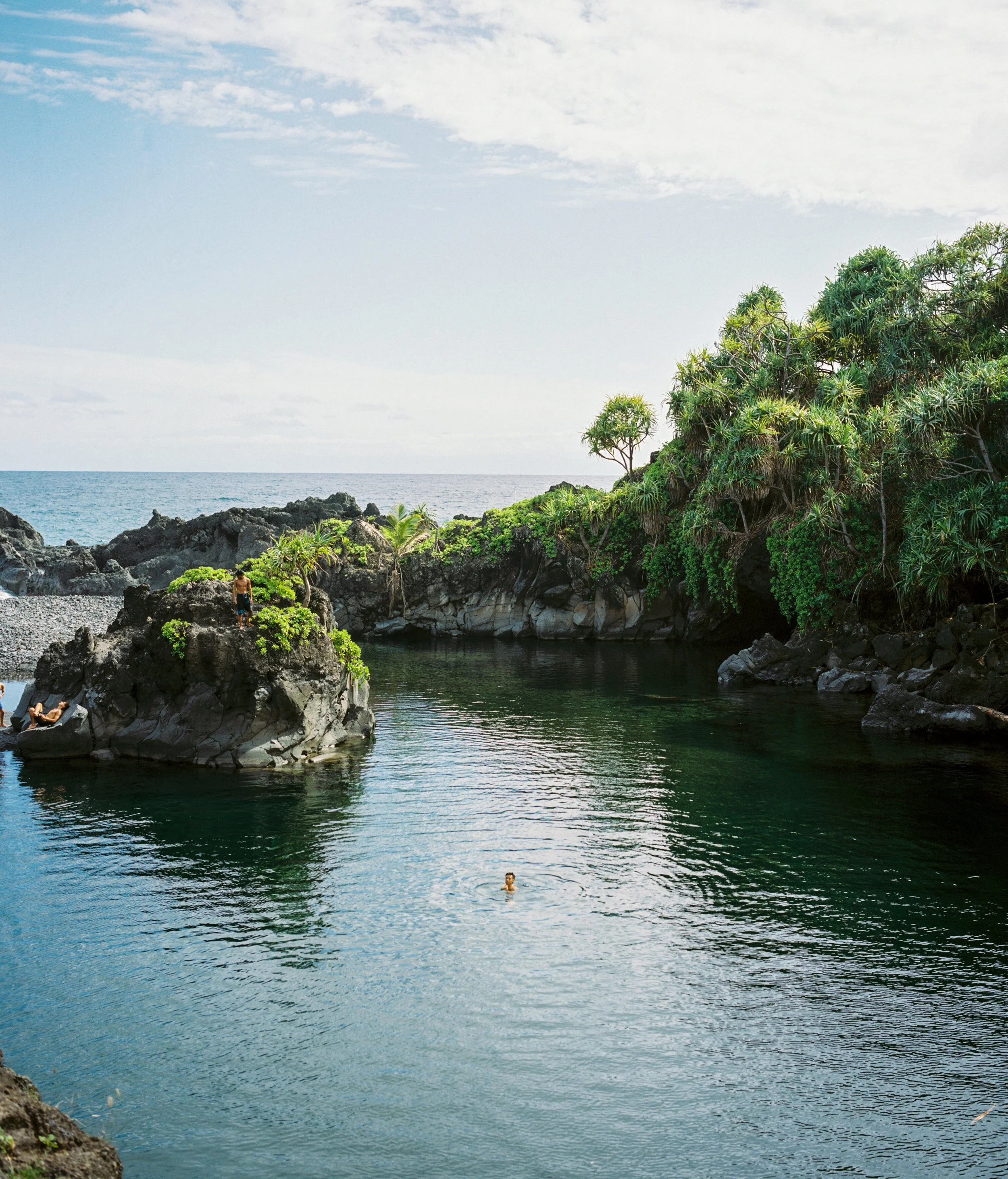 Person swimming in a rocky coastal pool surrounded by lush green trees and rocks, with the ocean and cloudy sky in the background.
