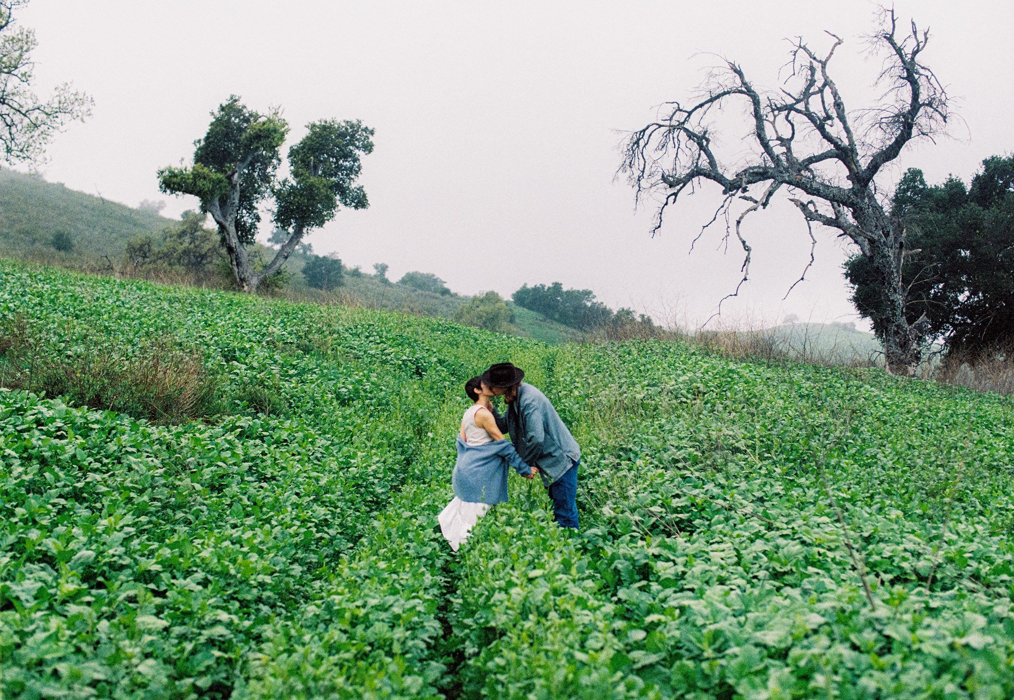 a couple engaged kissing in a green field on film in malivu california