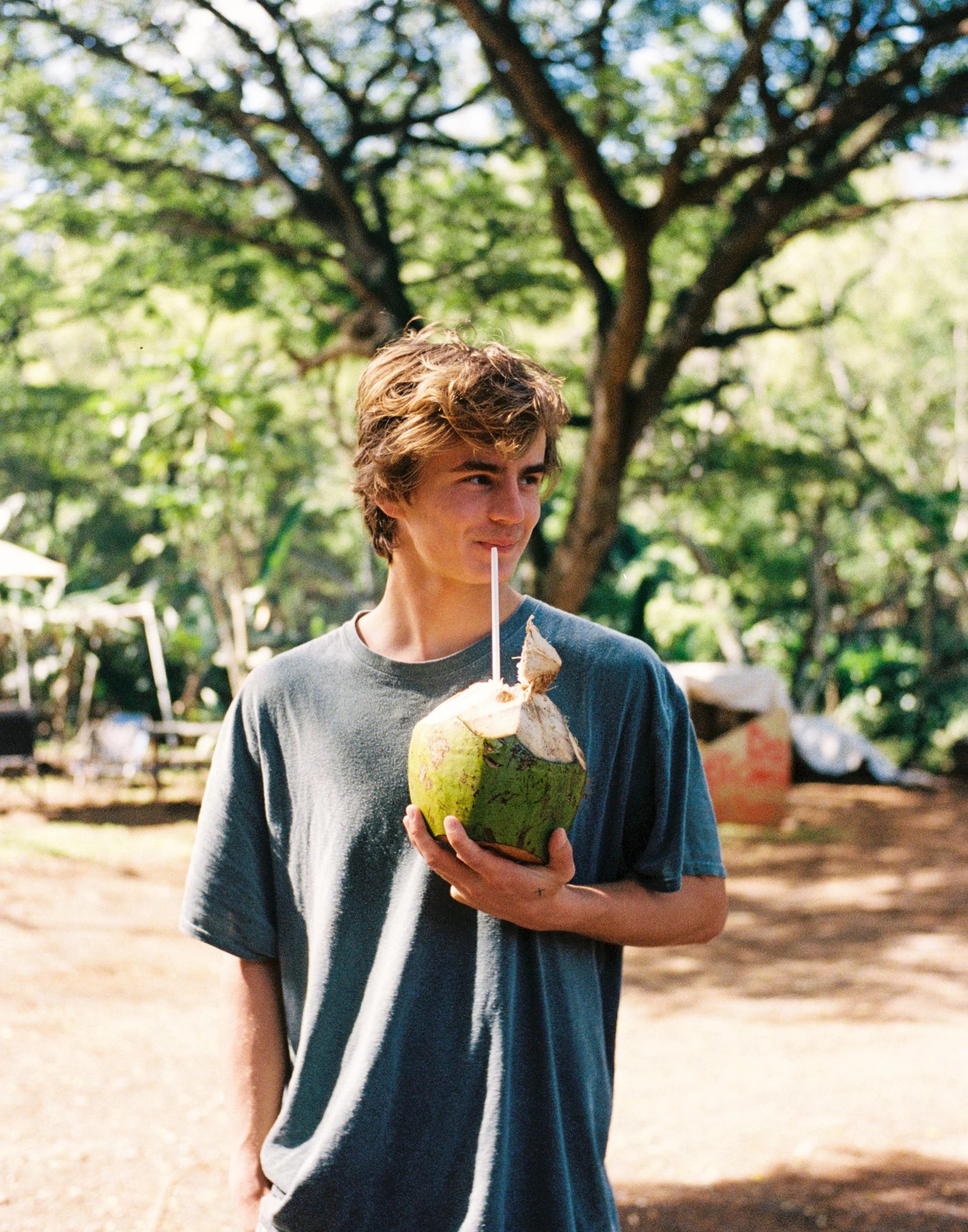 A young man with wavy brown hair, wearing a gray t-shirt, standing outdoors in a sunny, green park, holding a green coconut with a straw, about to drink from it.