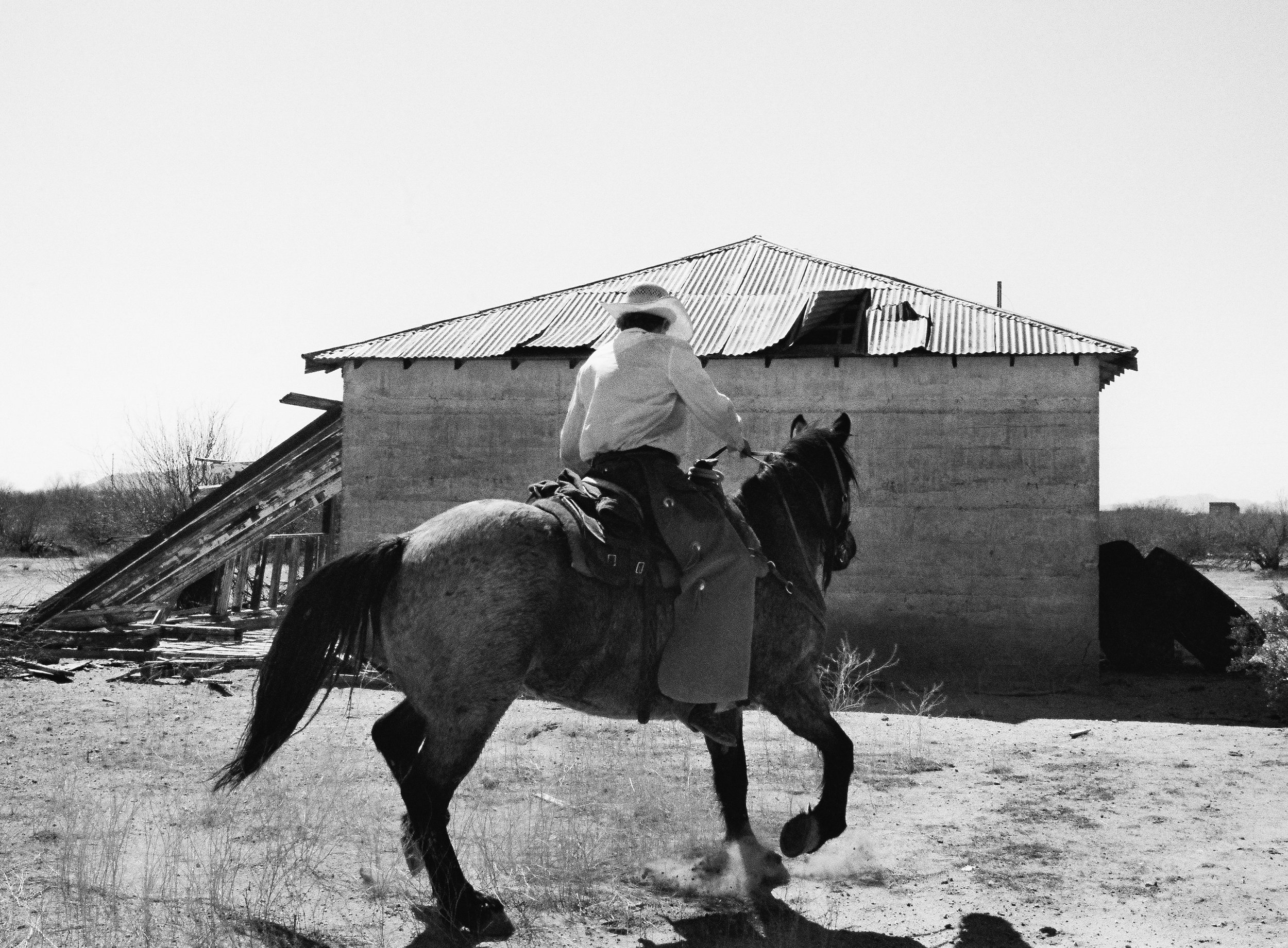 A person riding a horse in front of a weathered, dilapidated barn with a tilted roof in a rural area.