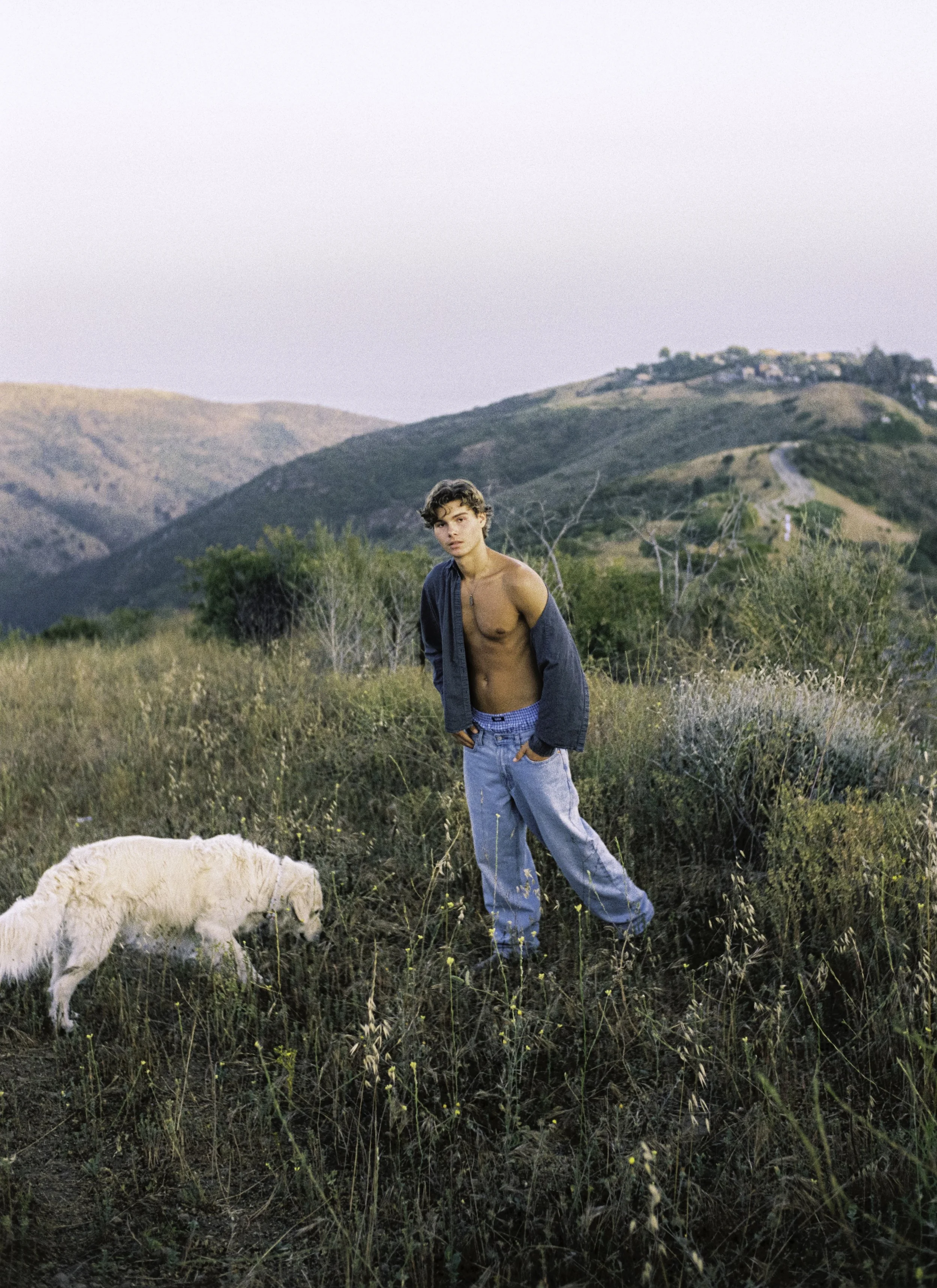 A shirtless young man with curly hair standing in a grassy field with hills in the background, a dog nearby, and a sky at dusk.