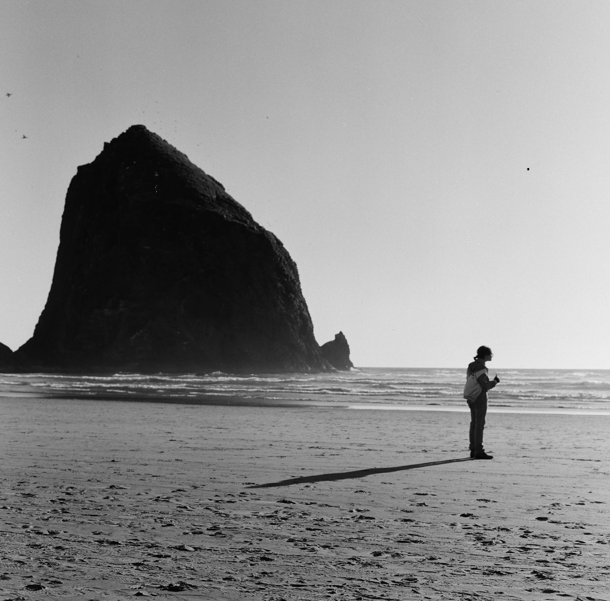 A person wearing a jacket and sunglasses walking on a beach at sunset or sunrise, with large rocks or cliffs in the background.