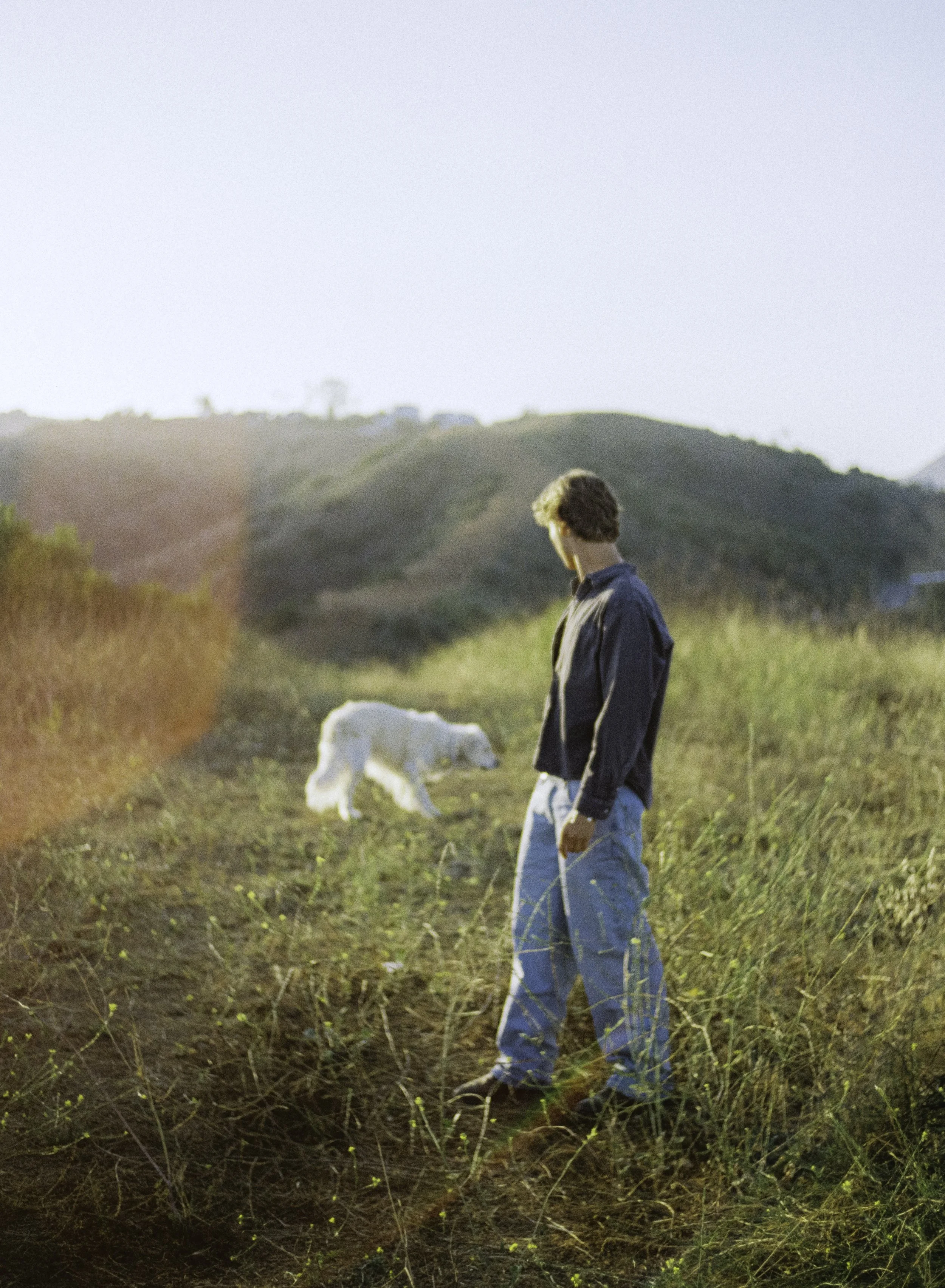 A young man with brown hair, wearing a dark jacket and light blue jeans, stands in a grassy field during sunset, looking down at the ground with a dog nearby.