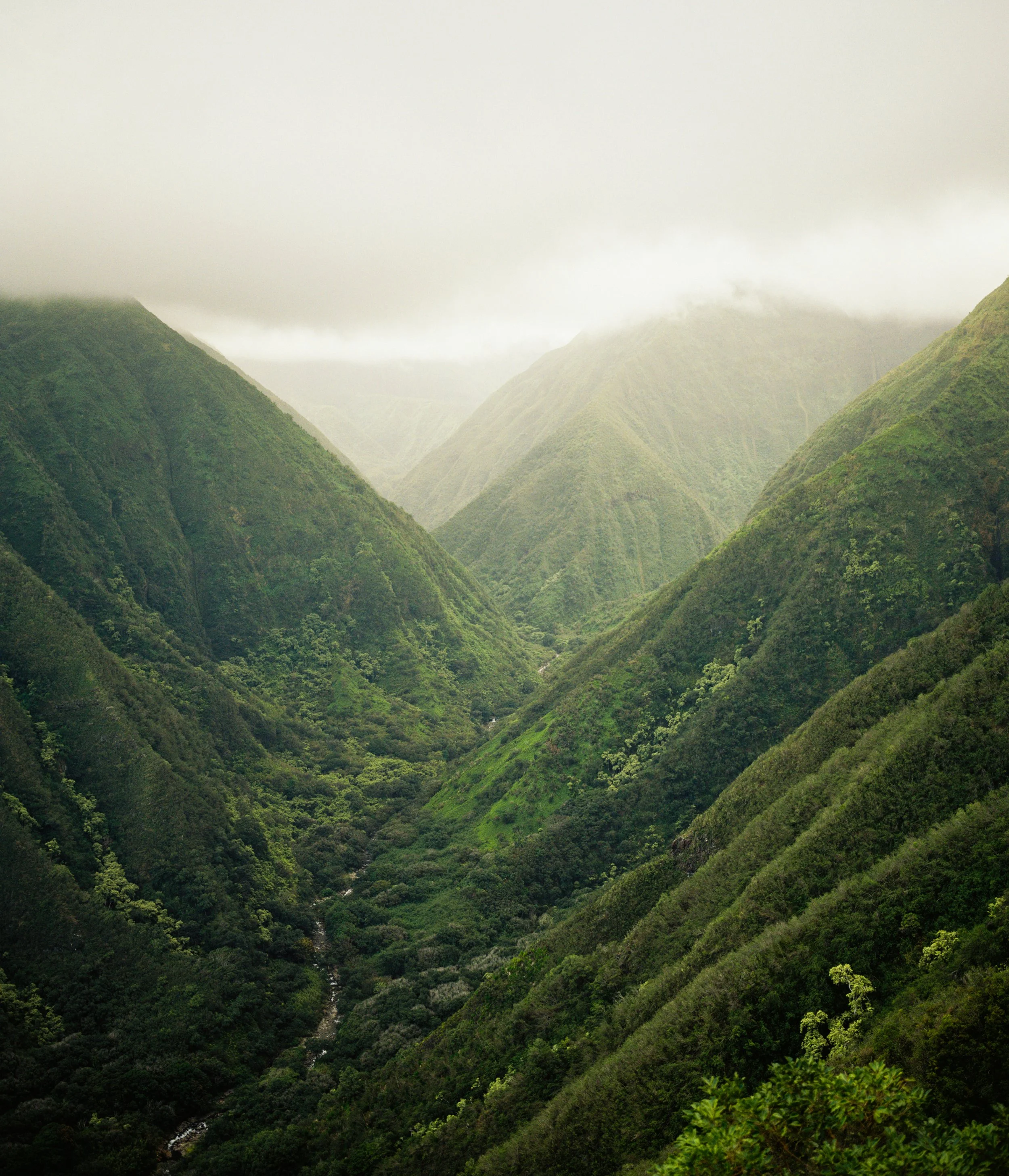 Green lush mountains with valley and cloudy sky
