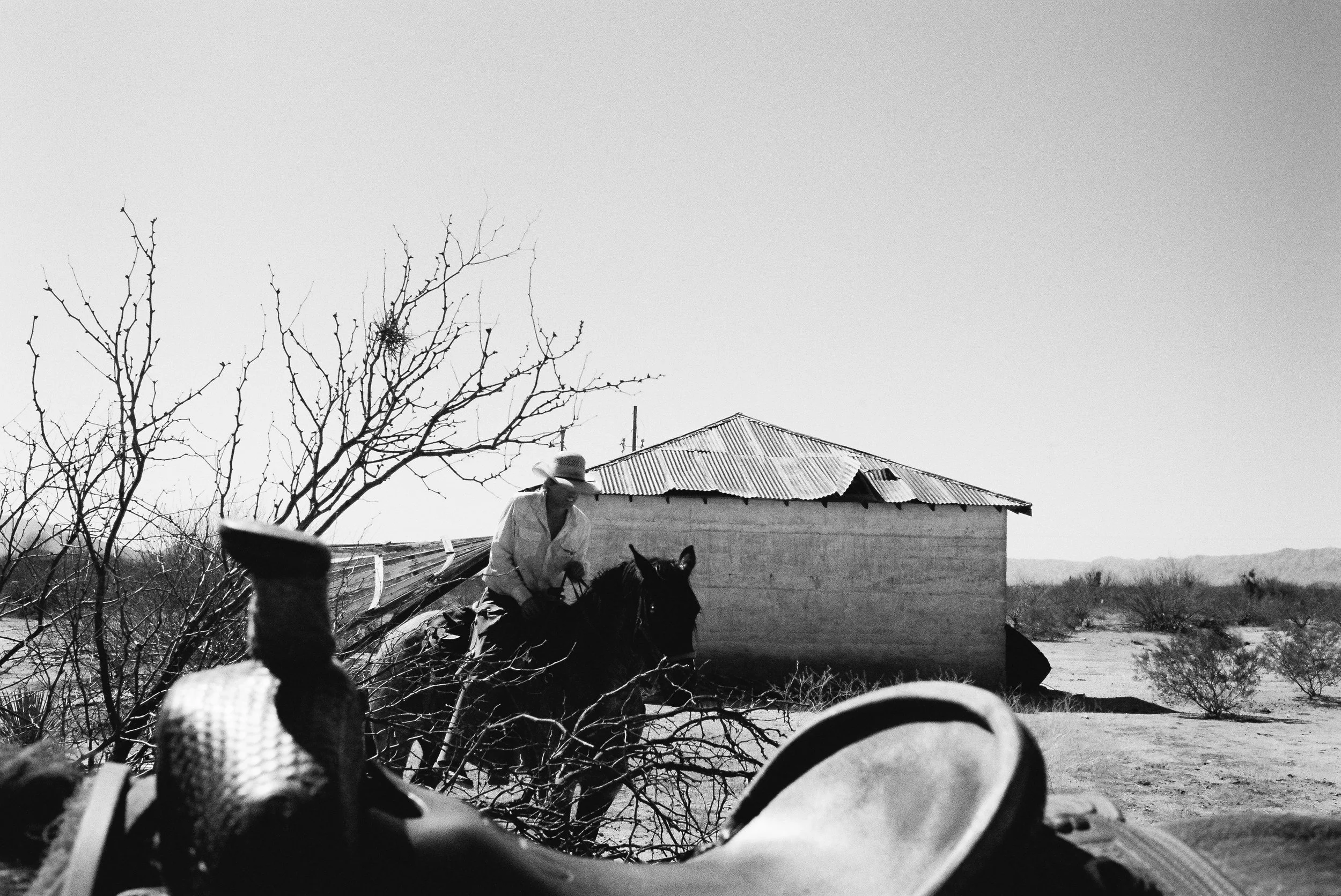 A person riding a horse through a desert landscape with a small building and leafless trees in the background.