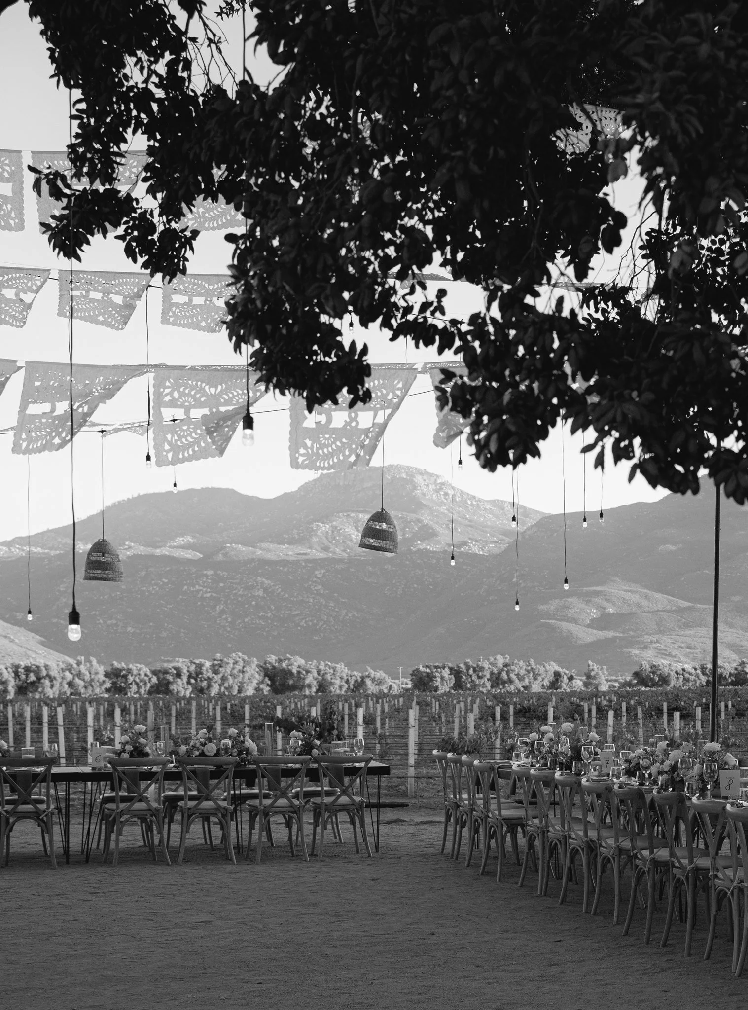 Outdoor event setup with tables and chairs, decorative paper banners hanging above, string lights, mountains in the background, and trees in the foreground, in black and white