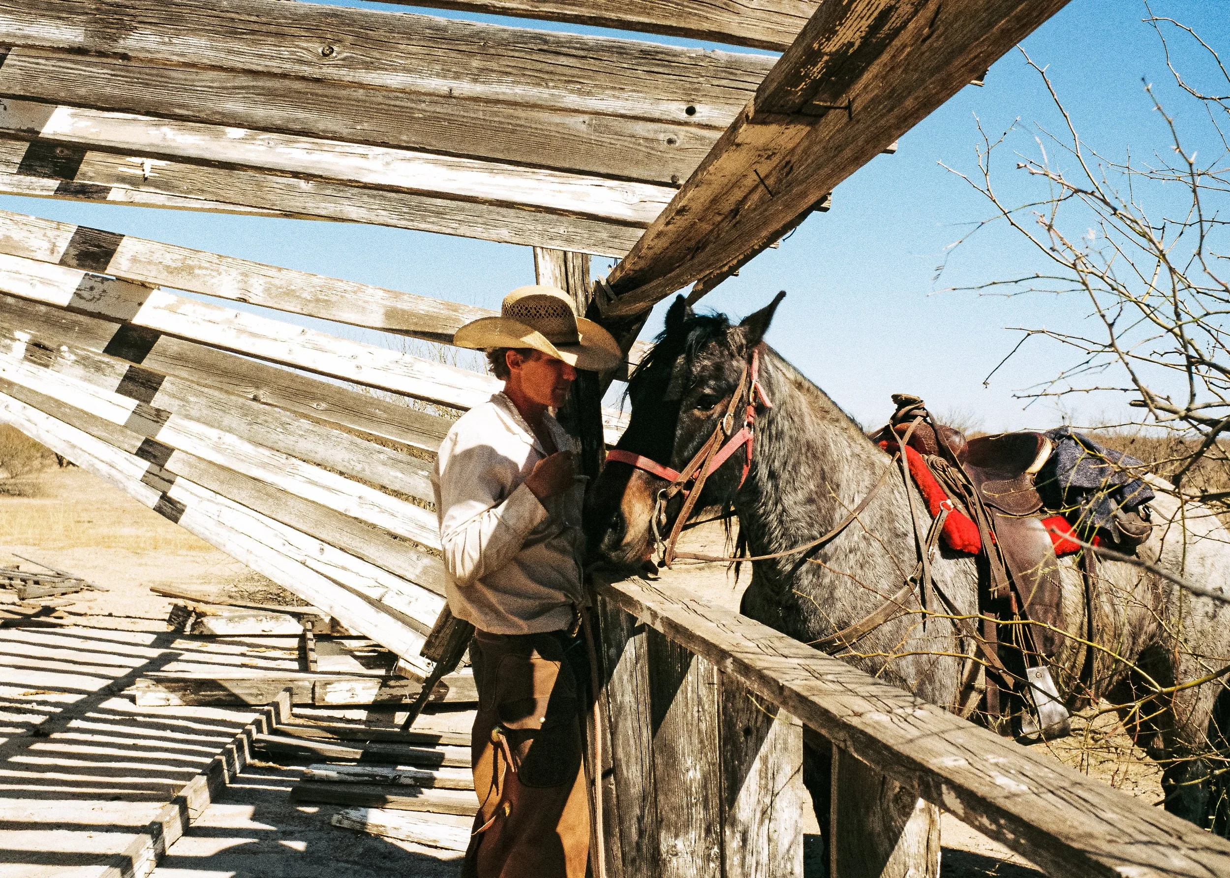 A man with a cowboy hat standing with a gray horse, resting its head on a weathered wooden fence under a rustic wooden shelter, with clear blue sky and sparse leafless tree branches in the background.