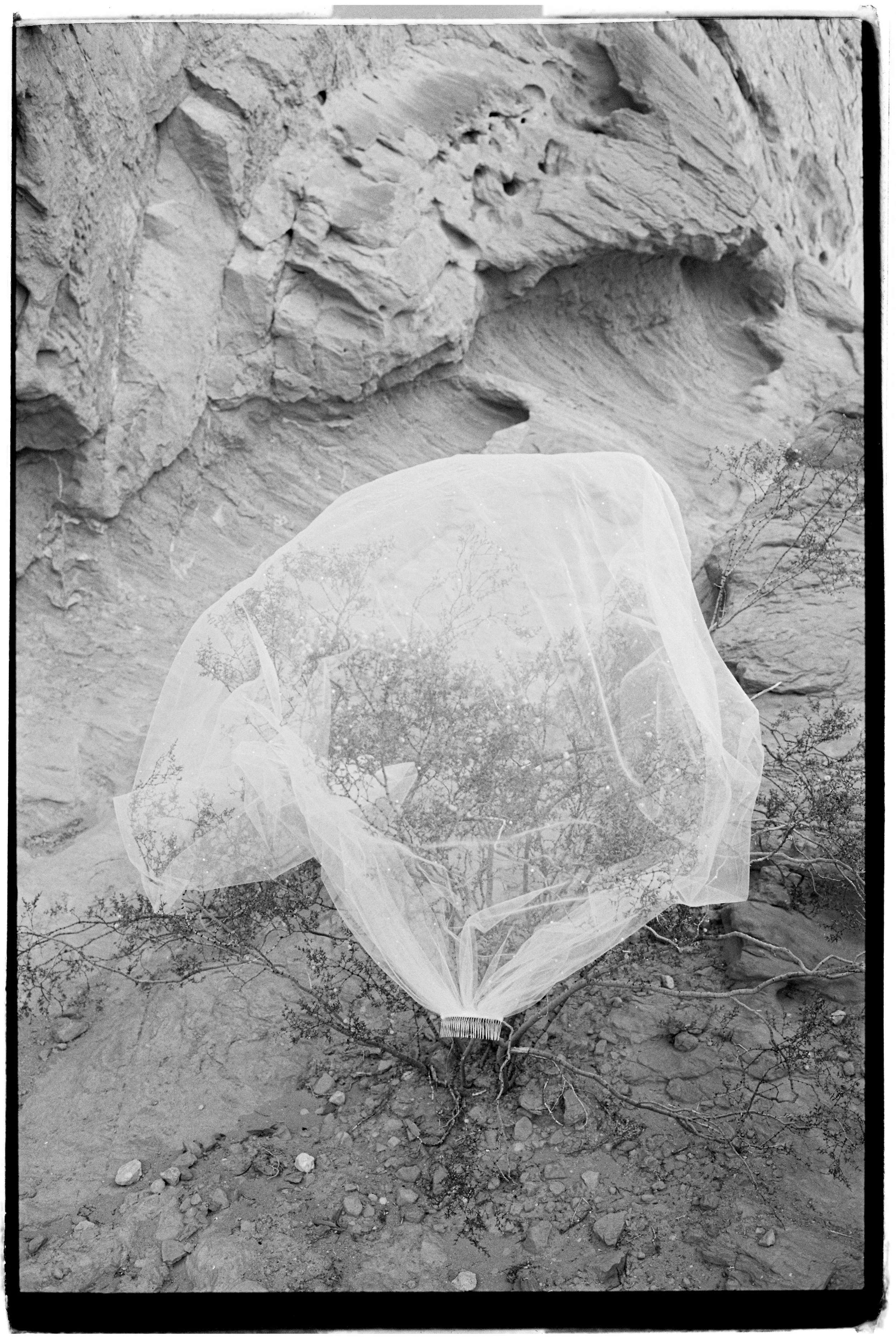 a veil caught on a bush in the valley of fire