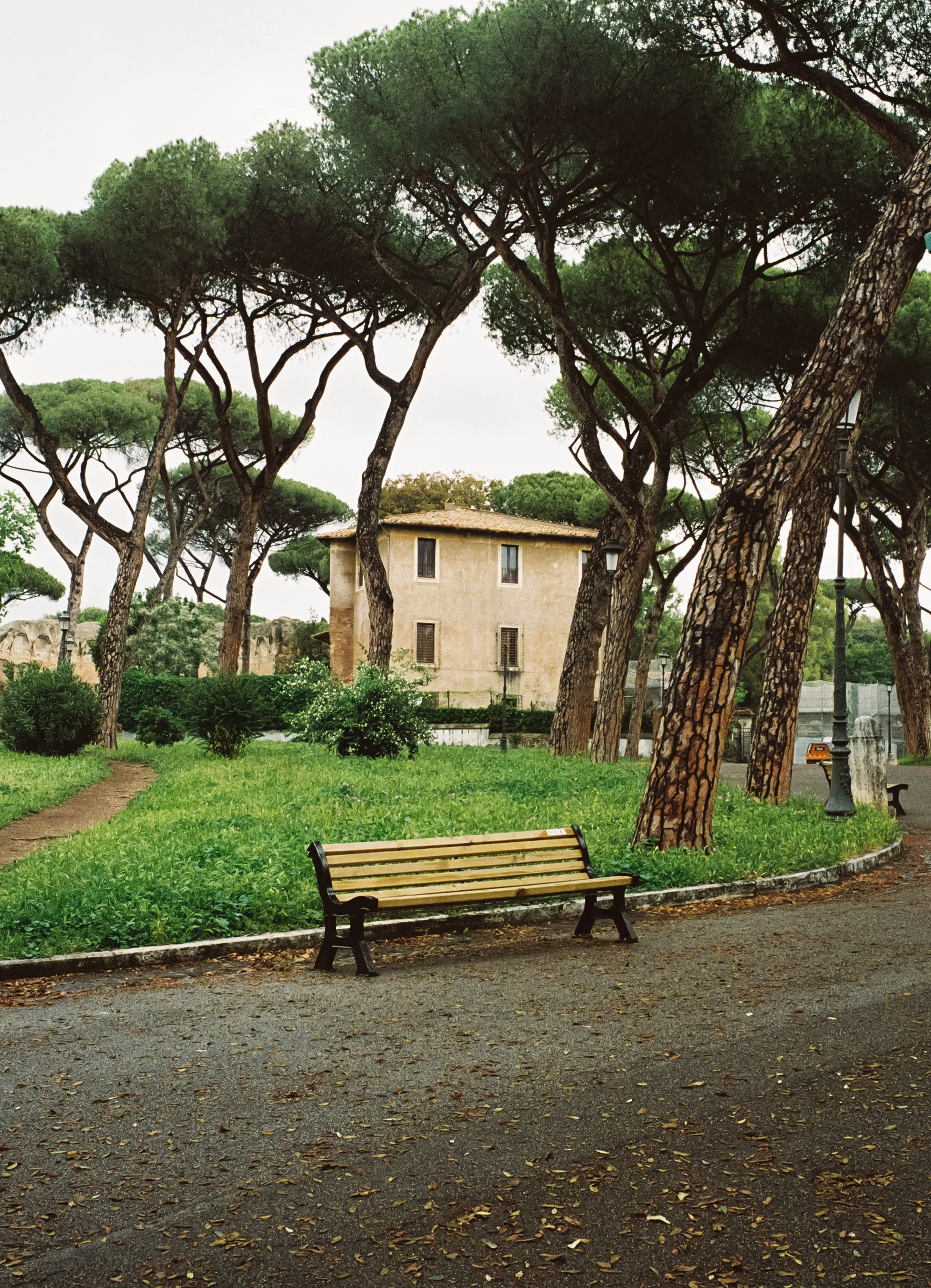 A park with a bench, trees, a grassy area, and a building in the background, overcast sky.