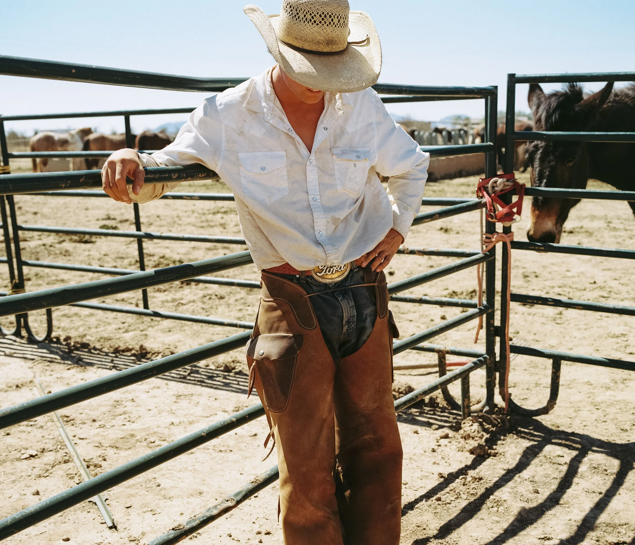 A person dressed in cowboy attire, including a wide-brimmed straw hat, white button-up shirt, and brown chaps, standing near a metal cattle pen with a horse tethered to the fence in the background, on a sunny day.