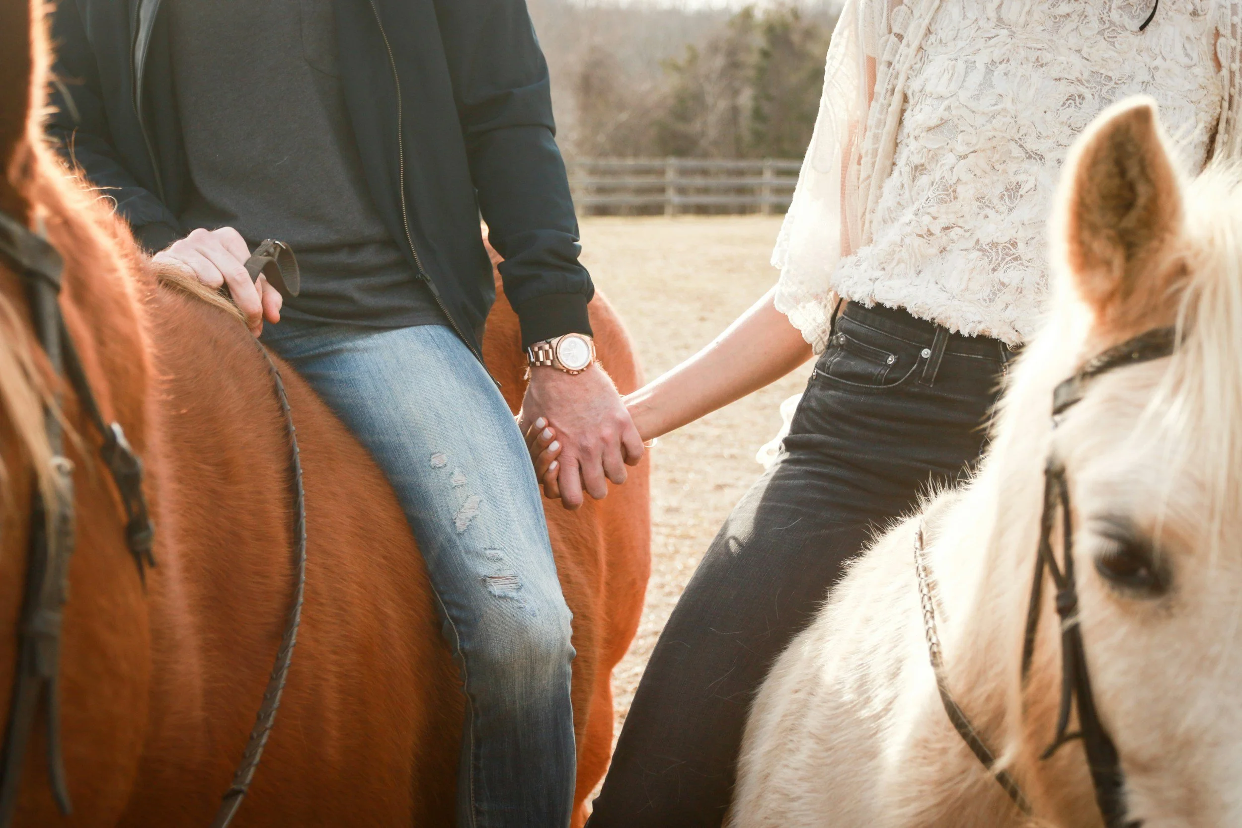 Two people sitting on horses holding hands, with the focus on their hands and horses' heads visible in the foreground.