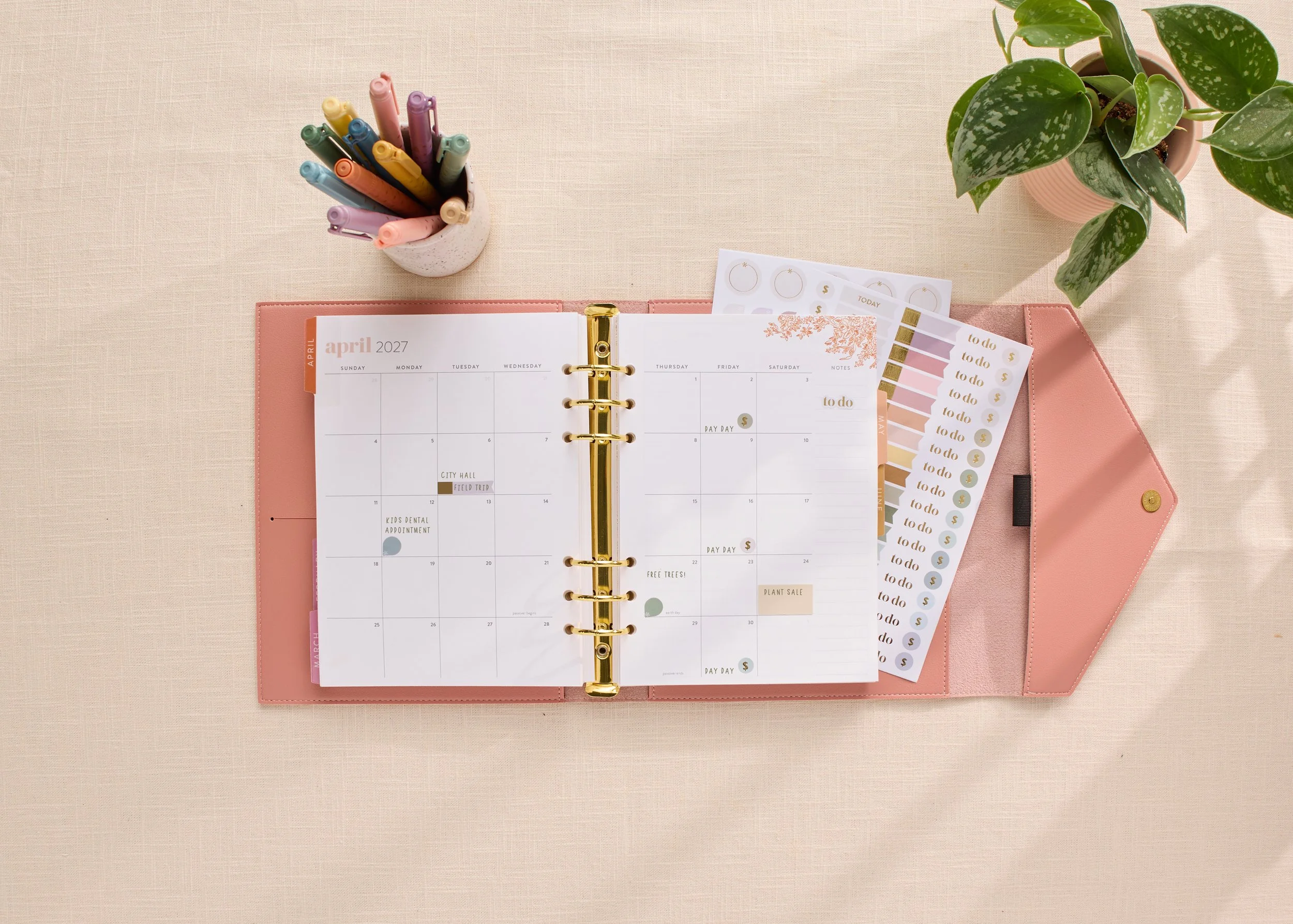 LP Ring Agenda_BLUSH_TOILE_2.jpg