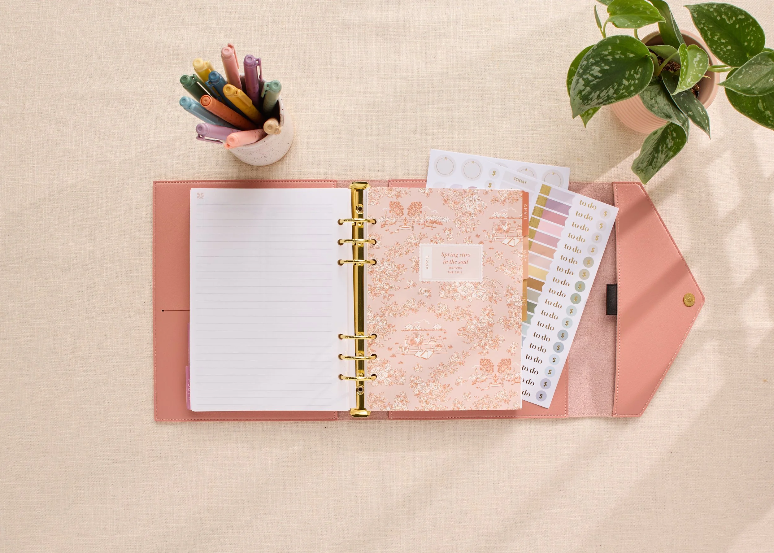 LP Ring Agenda_BLUSH_TOILE_1.jpg