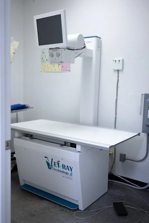 Veterinary X-ray machine with a monitor in a veterinary clinic